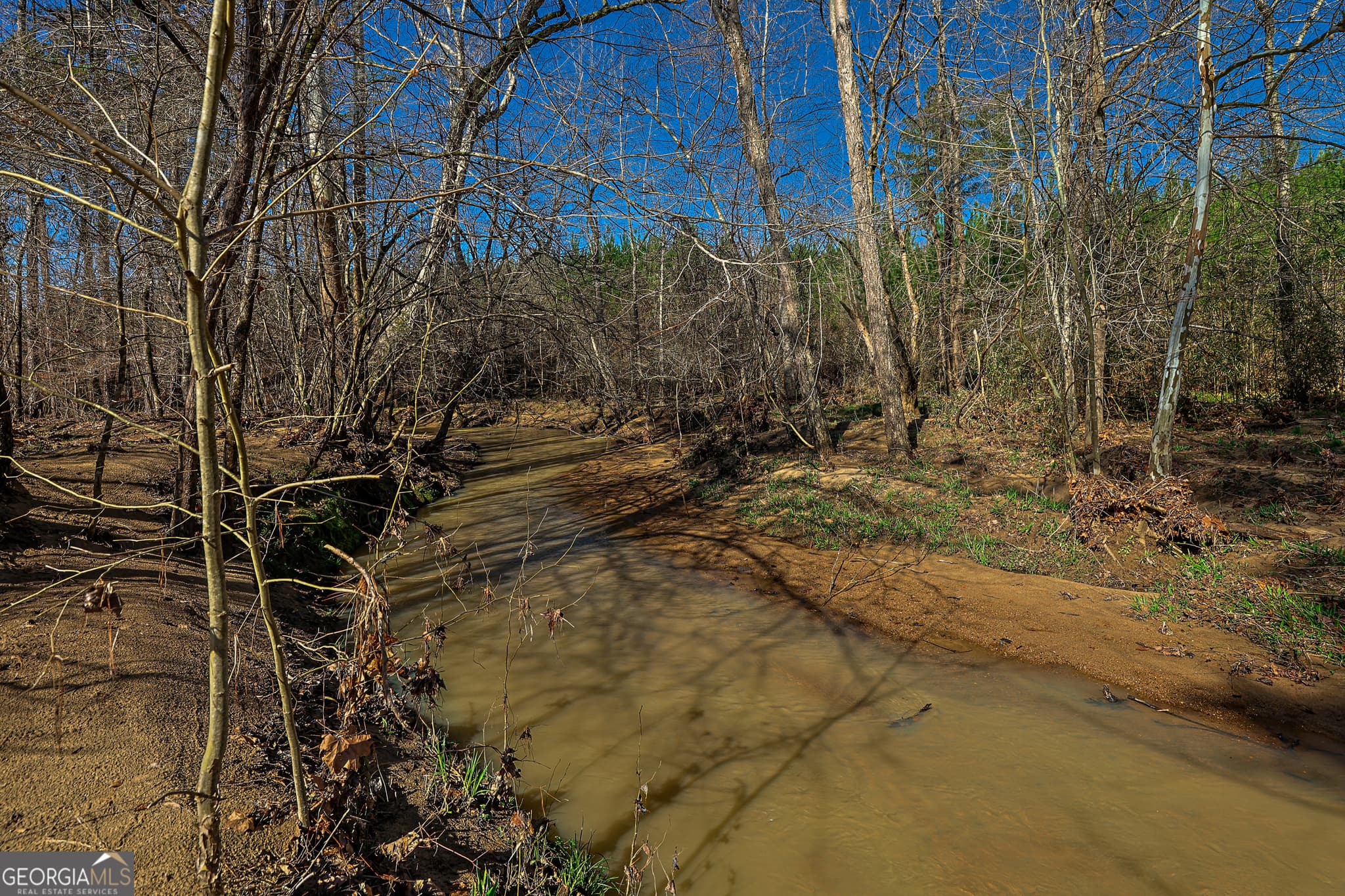 unimproved land for sale at 0 Island Creek Road, Sparta, GA 31087 — photo 6