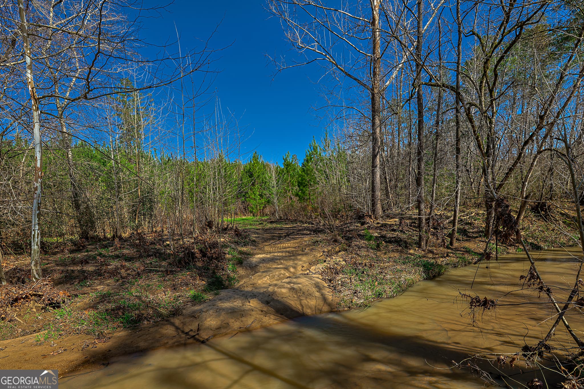 unimproved land for sale at 0 Island Creek Road, Sparta, GA 31087 — photo 7
