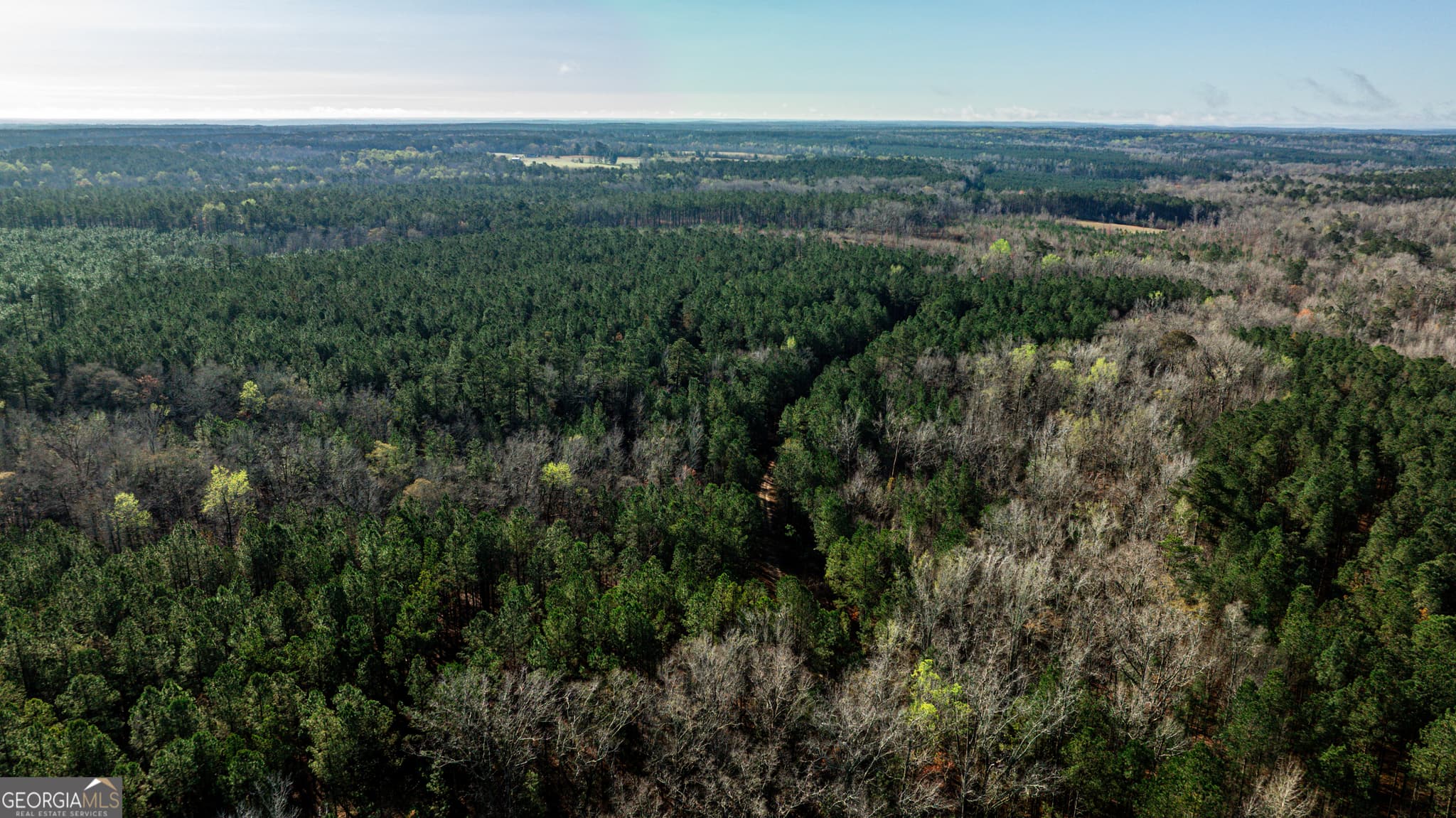 unimproved land for sale at 0 Island Creek Road, Sparta, GA 31087 — photo 3