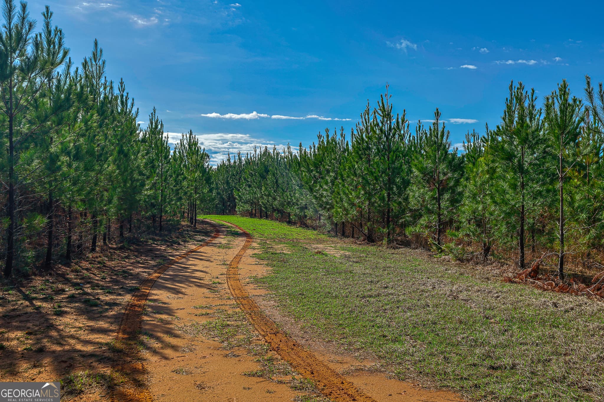 unimproved land for sale at 0 Island Creek Road, Sparta, GA 31087 — photo 1 of 12