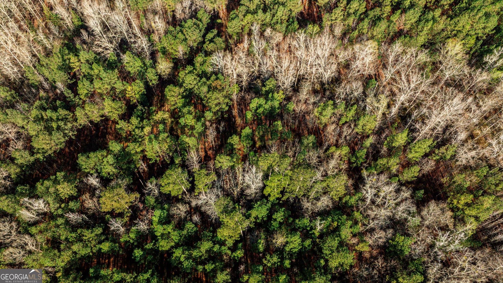 unimproved land for sale at 0 Island Creek Road, Sparta, GA 31087 — photo 5