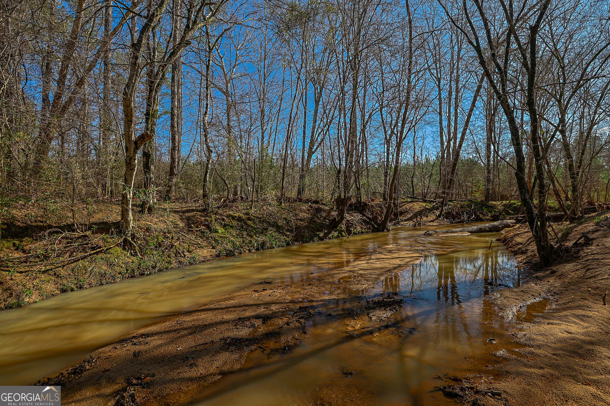 unimproved land for sale at 0 Island Creek Road, Sparta, GA 31087 — photo 9