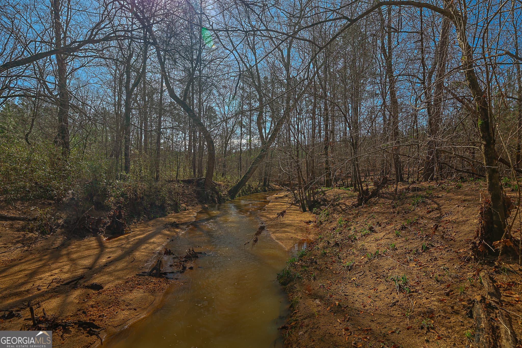 unimproved land for sale at 0 Island Creek Road, Sparta, GA 31087 — photo 10