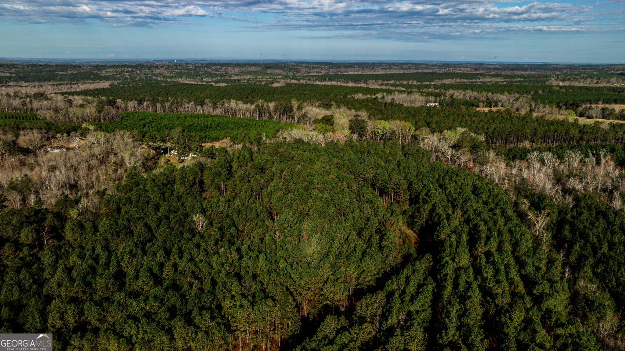 unimproved land for sale at 0 Island Creek Road, Sparta, GA 31087 — photo 4