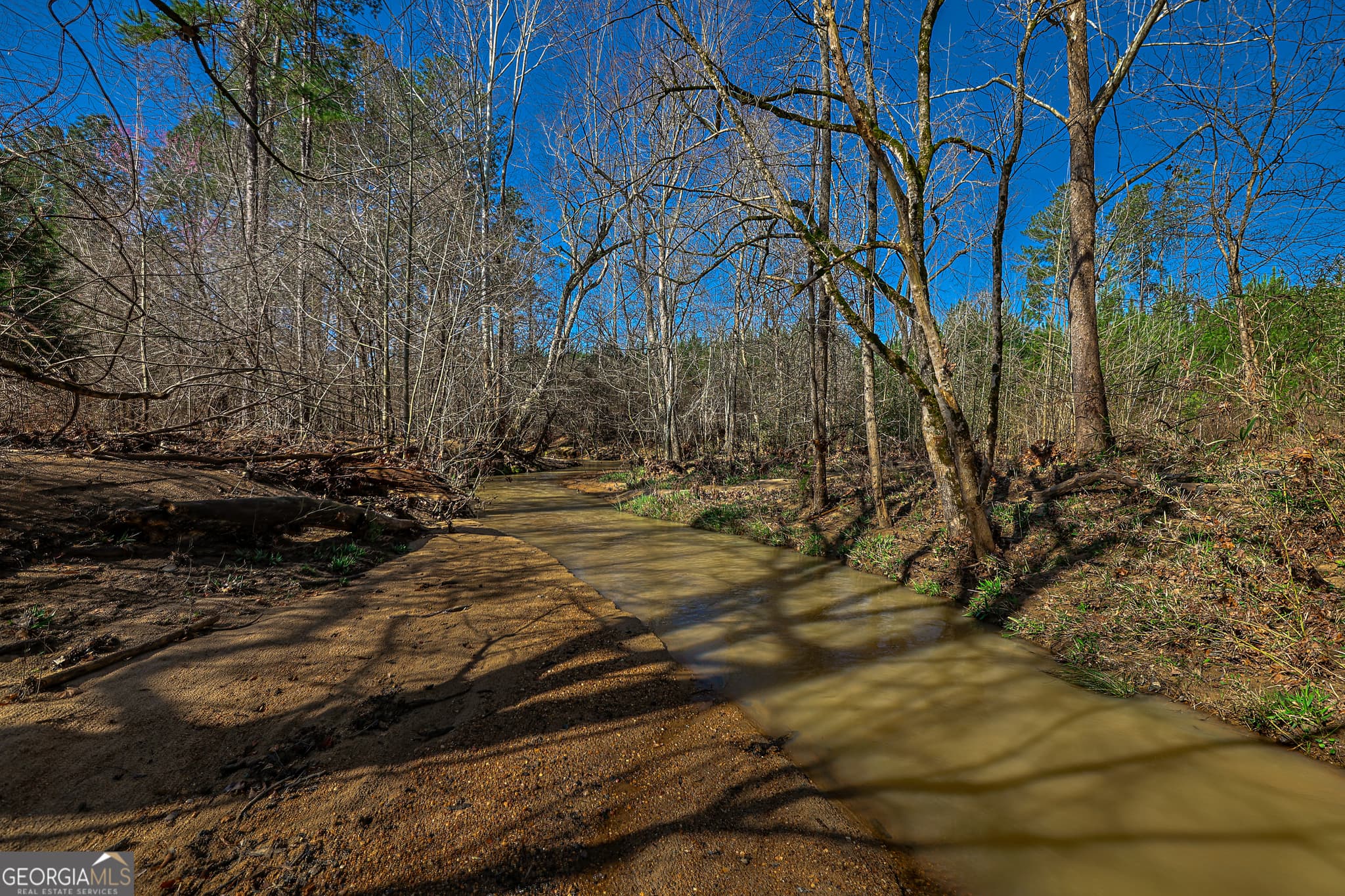 unimproved land for sale at 0 Island Creek Road, Sparta, GA 31087 — photo 8