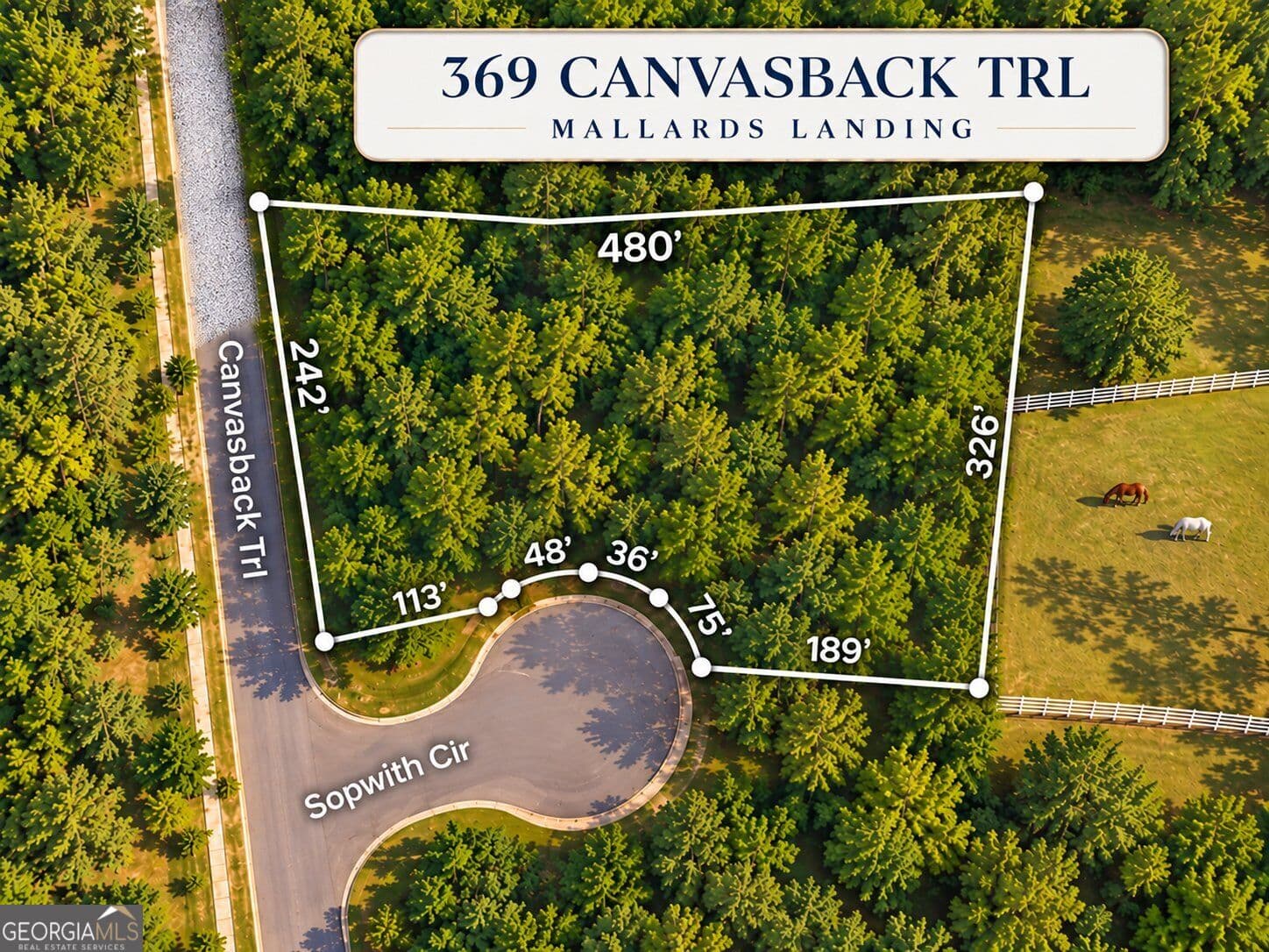 residential lot for sale at 369 Canvasback Trail 147, Locust Grove, GA 30248 — photo 2