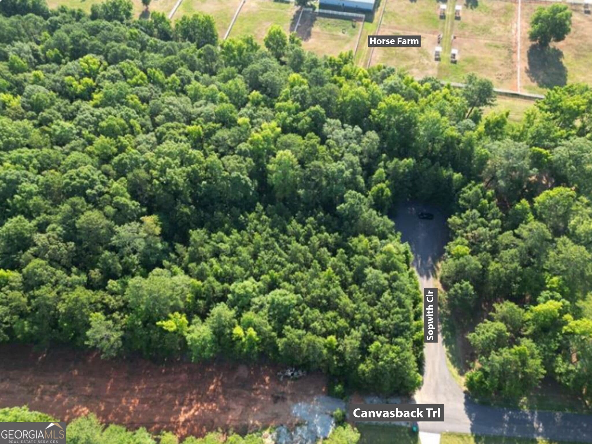 residential lot for sale at 369 Canvasback Trail 147, Locust Grove, GA 30248 — photo 1 of 8
