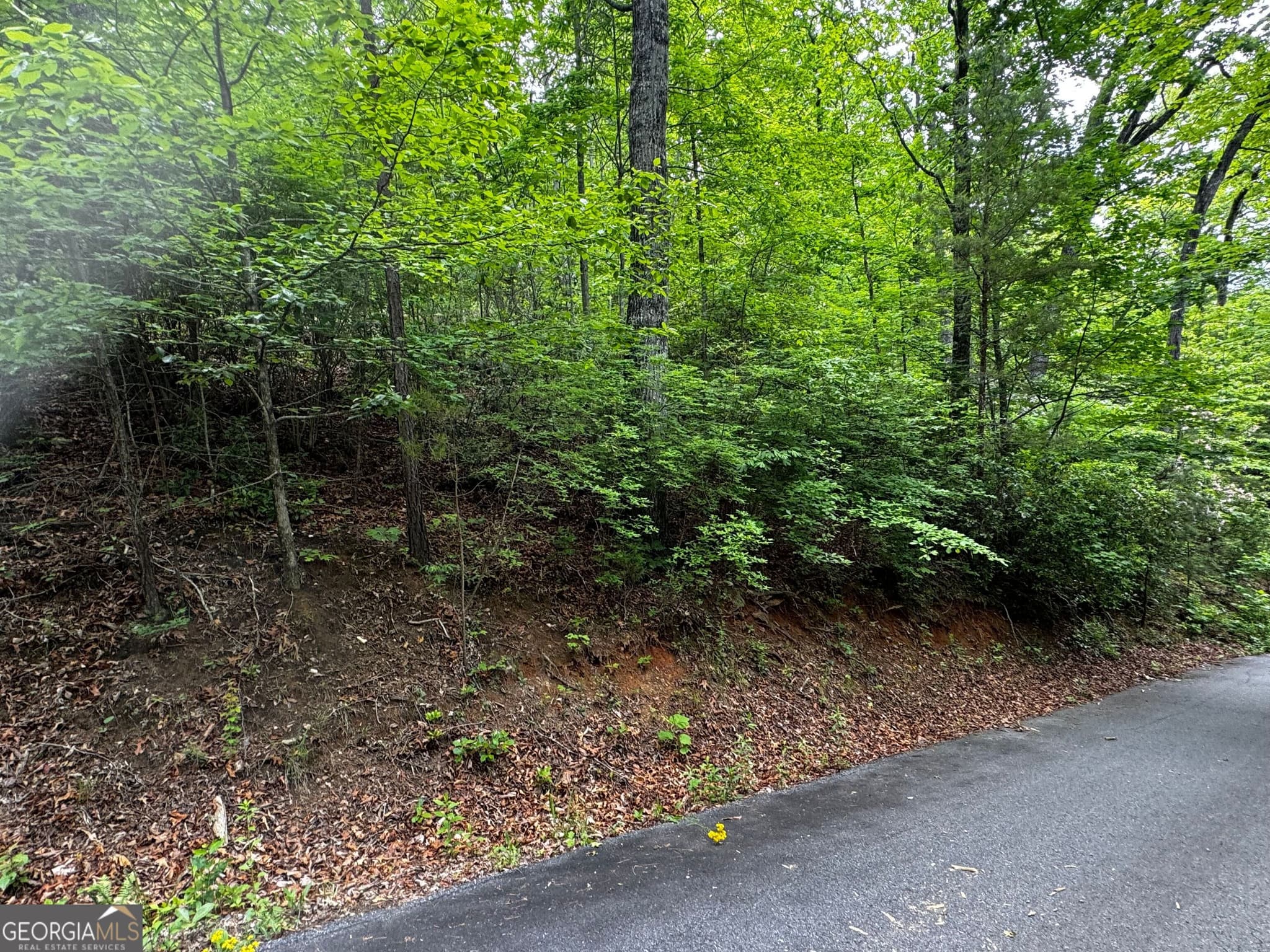 residential lot for sale at #6 Pounding Mill Overlook, Hayesville, NC 28904 — photo 6