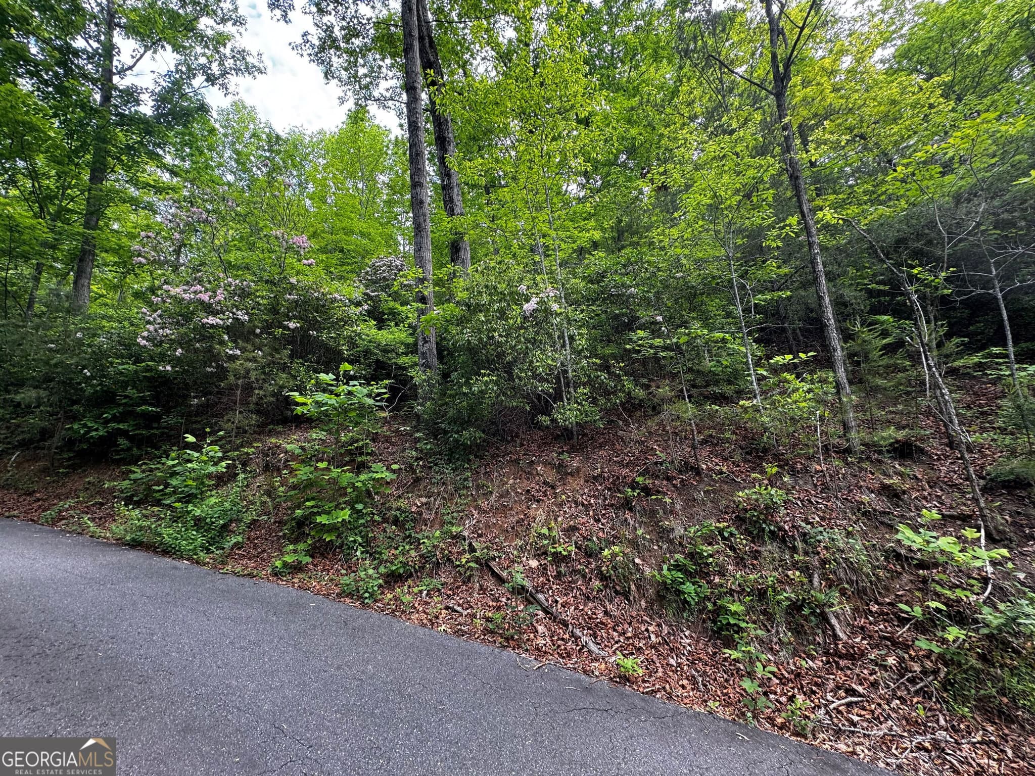 residential lot for sale at #6 Pounding Mill Overlook, Hayesville, NC 28904 — photo 7