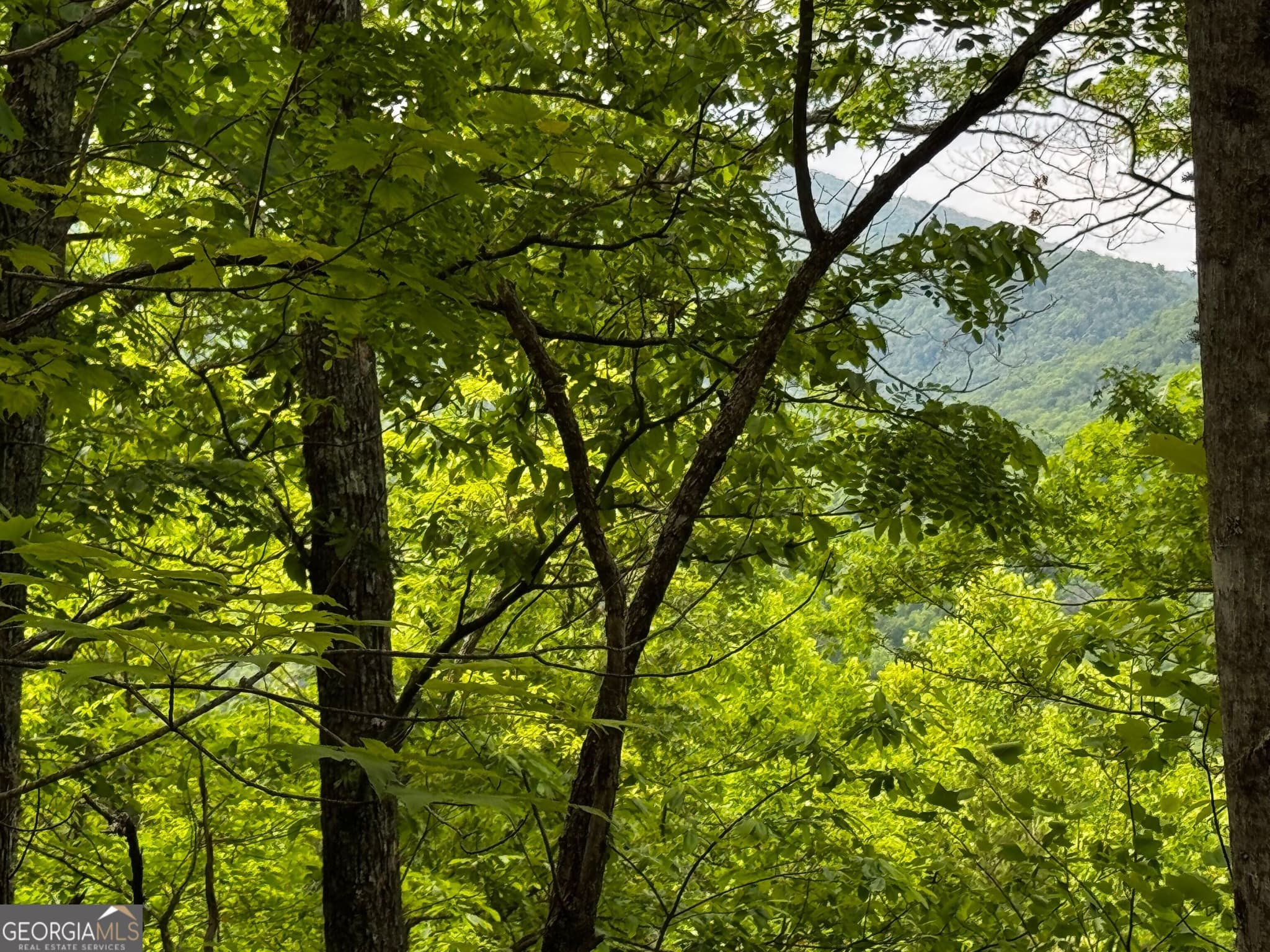 residential lot for sale at #6 Pounding Mill Overlook, Hayesville, NC 28904 — photo 1 of 12