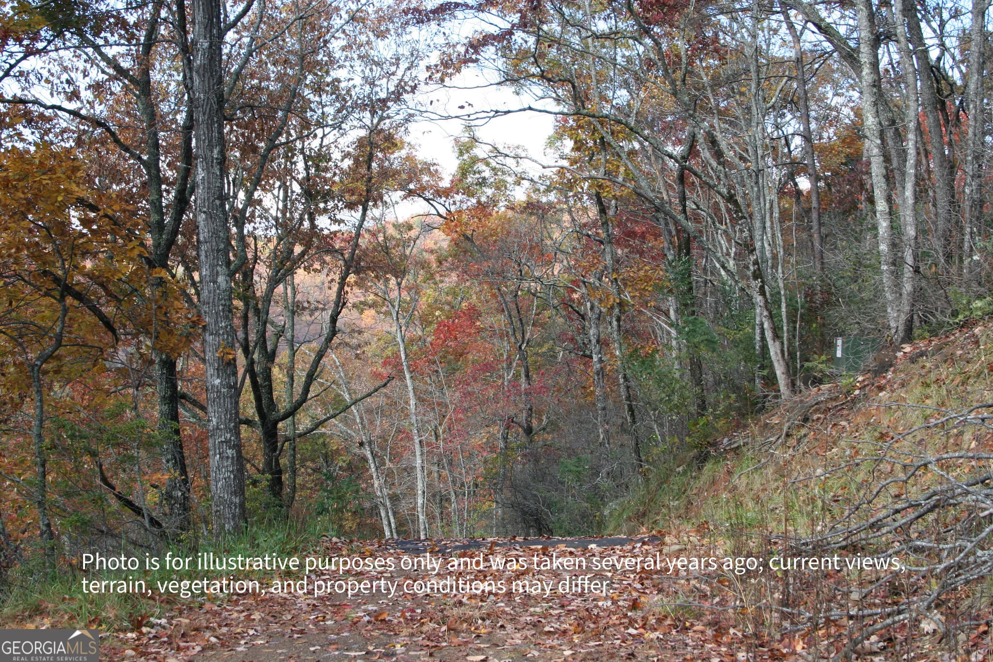 residential lot for sale at #6 Pounding Mill Overlook, Hayesville, NC 28904 — photo 5