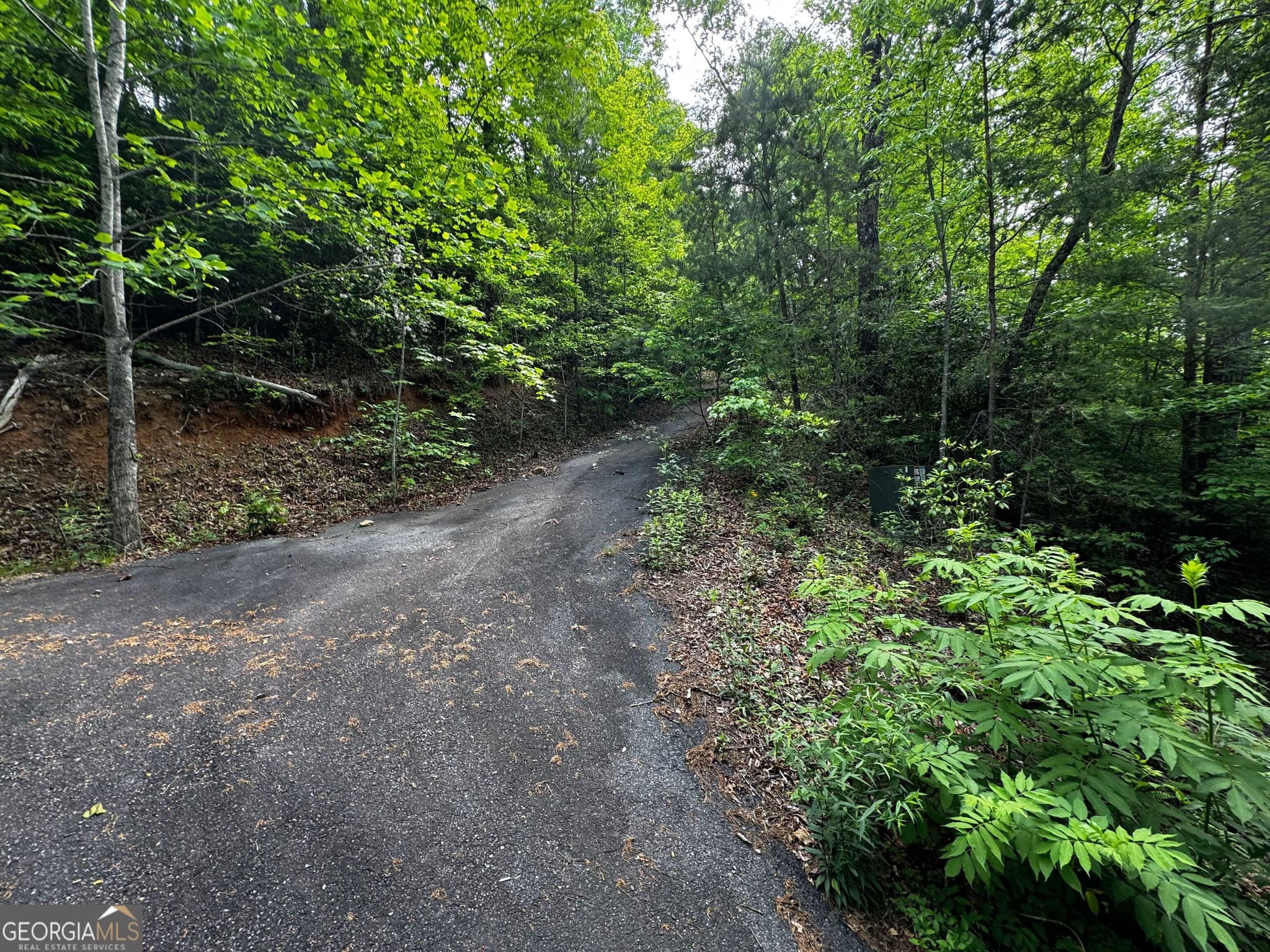 residential lot for sale at #6 Pounding Mill Overlook, Hayesville, NC 28904 — photo 9