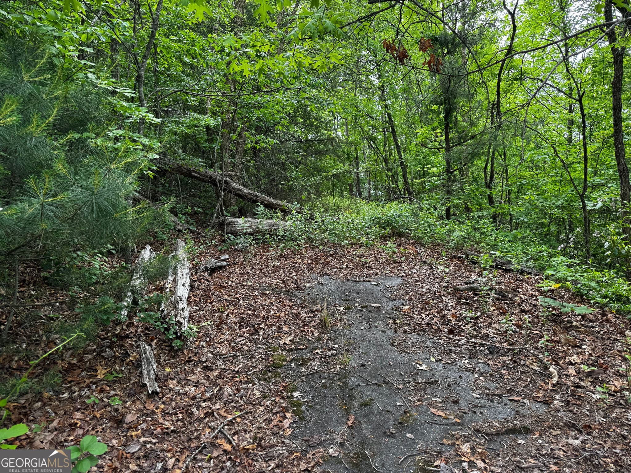 residential lot for sale at #6 Pounding Mill Overlook, Hayesville, NC 28904 — photo 10