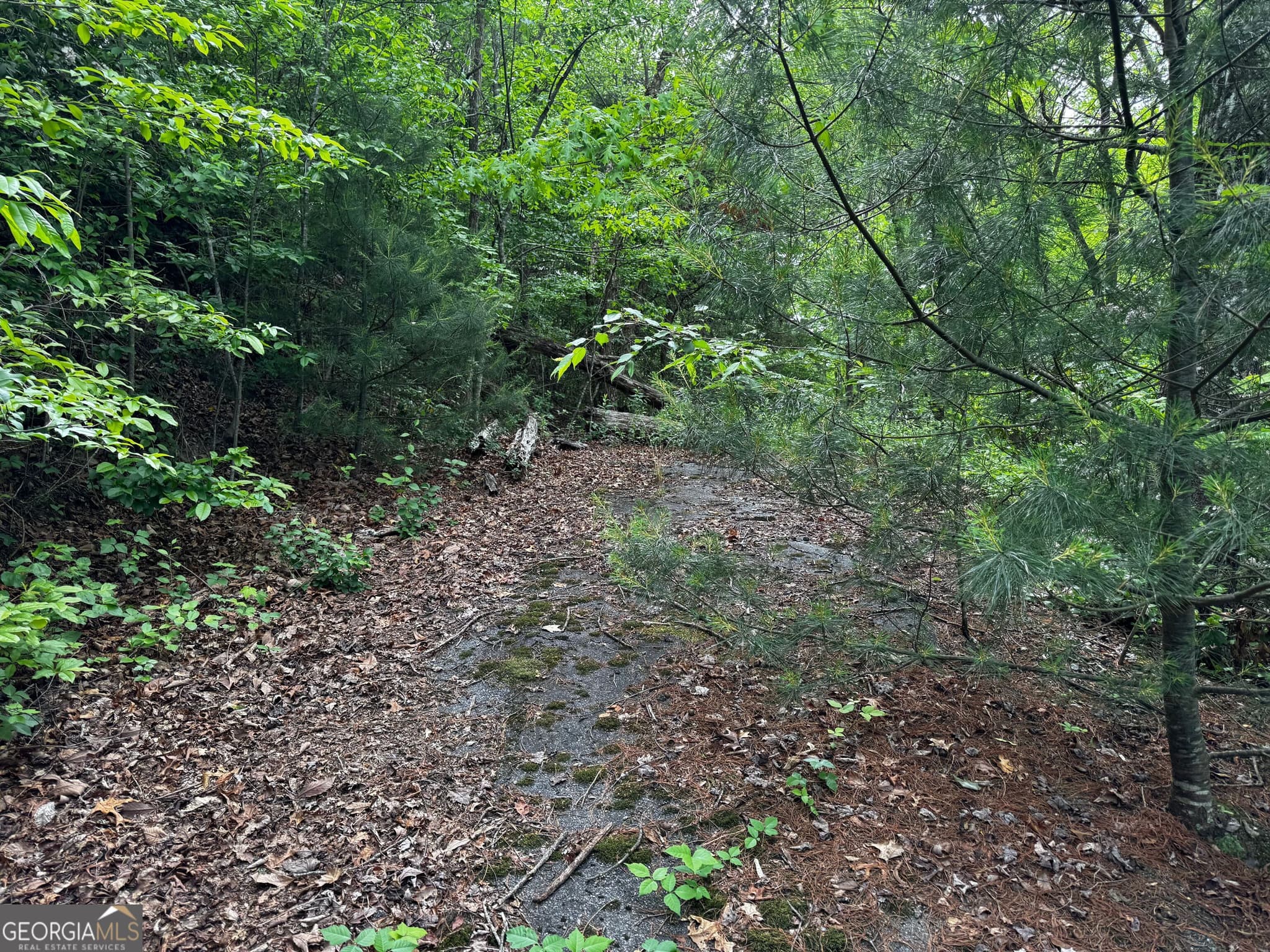 residential lot for sale at #6 Pounding Mill Overlook, Hayesville, NC 28904 — photo 4