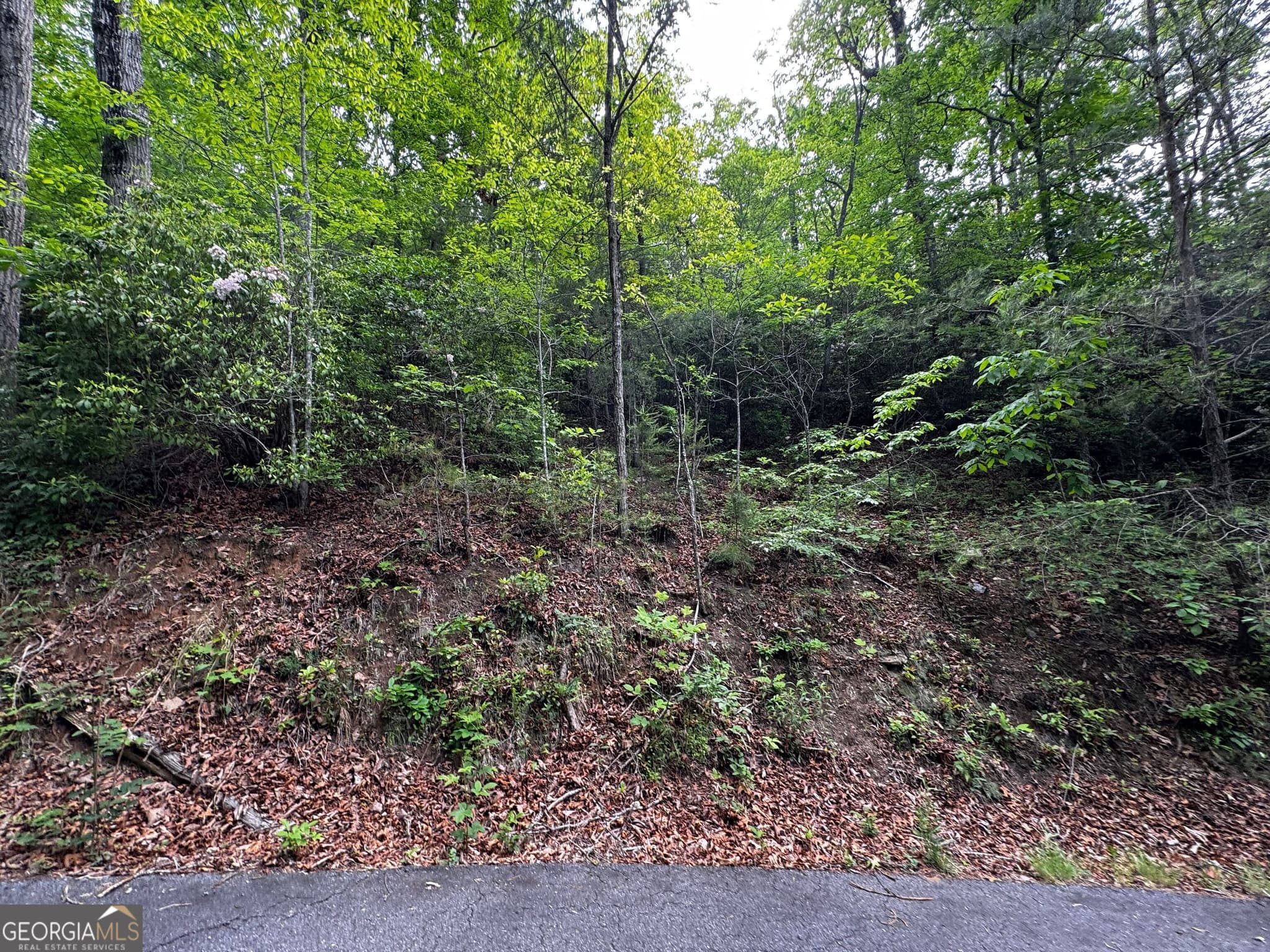 residential lot for sale at #6 Pounding Mill Overlook, Hayesville, NC 28904 — photo 8
