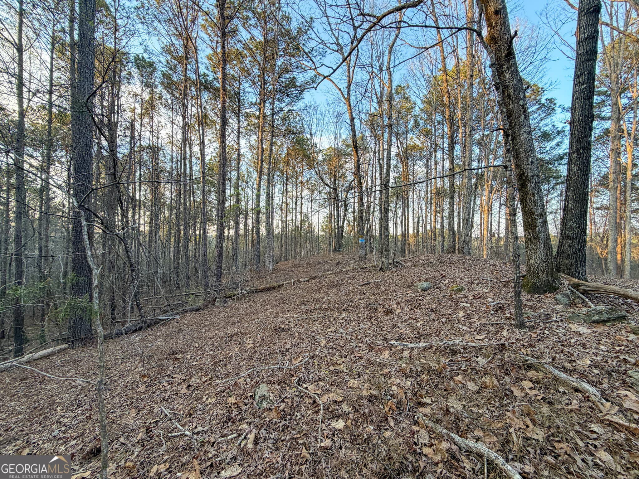 agriculture for sale at 83 +/- Acres on US Hwy 27, Franklin, GA 30217 — photo 6