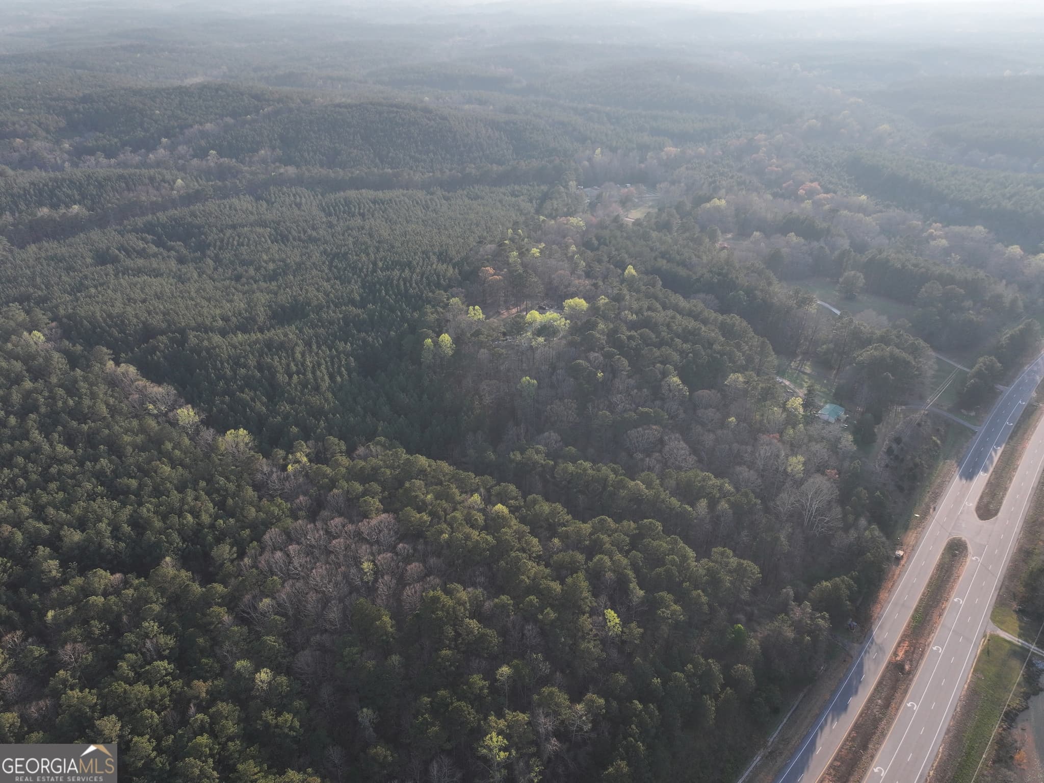 agriculture for sale at 83 +/- Acres on US Hwy 27, Franklin, GA 30217 — photo 7