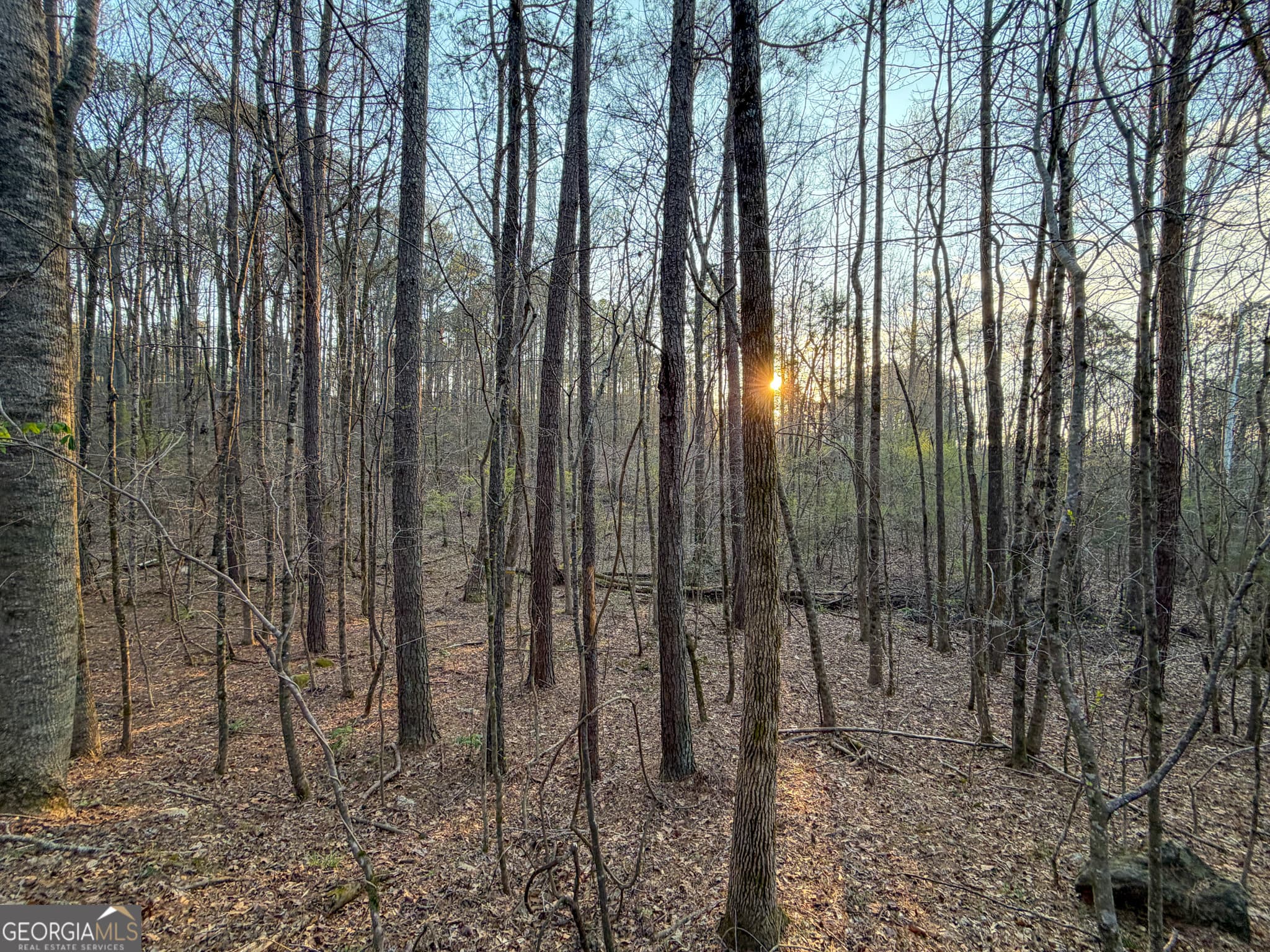 agriculture for sale at 83 +/- Acres on US Hwy 27, Franklin, GA 30217 — photo 3
