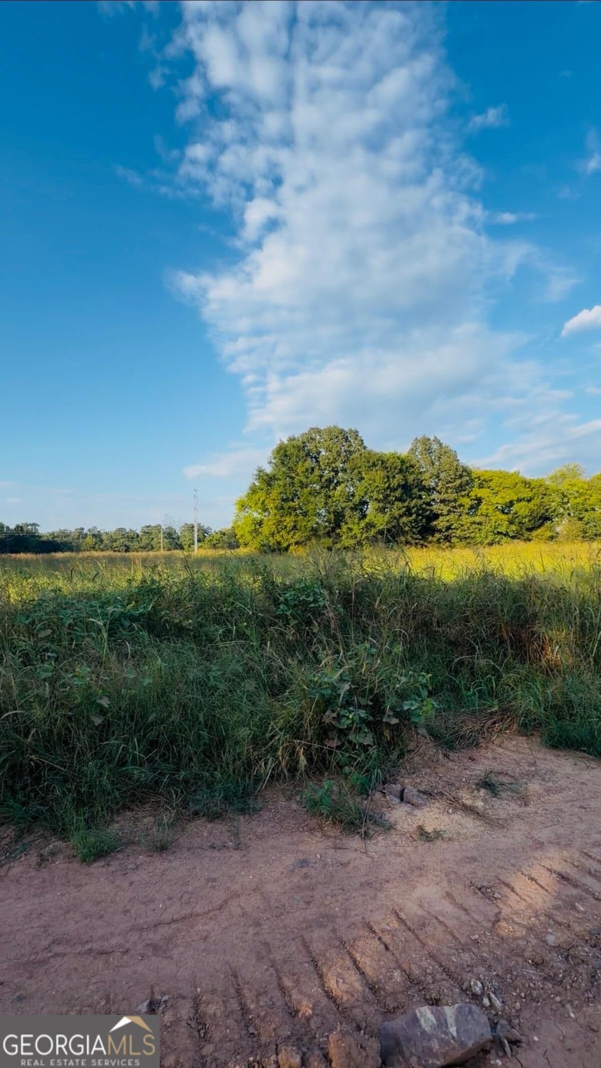 agriculture for sale at 474 Mcdaniel Station Road, Calhoun, GA 30701 — photo 2