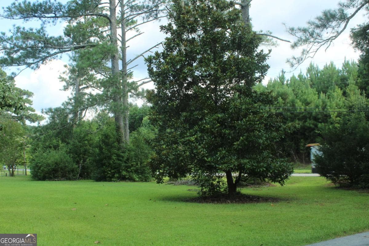 agriculture for sale at 4460 STONEWALL TELL Road, Atlanta, GA 30349 — photo 3