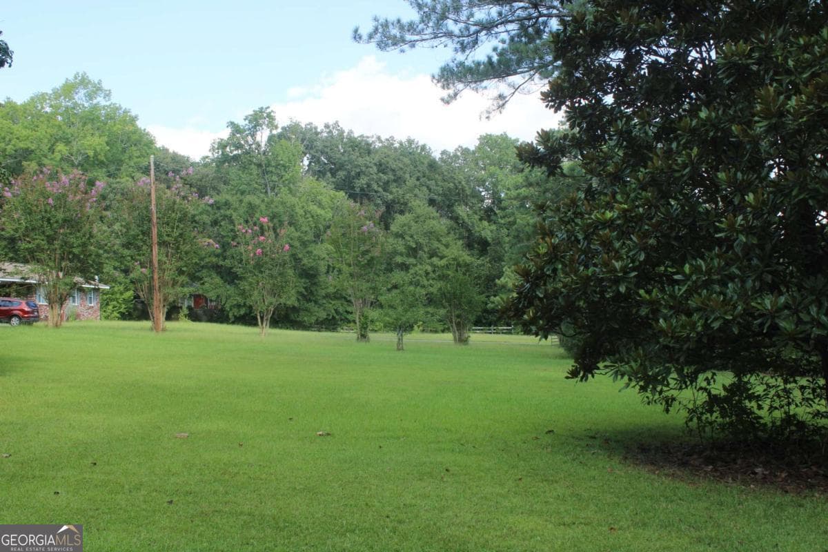 agriculture for sale at 4460 STONEWALL TELL Road, Atlanta, GA 30349 — photo 4