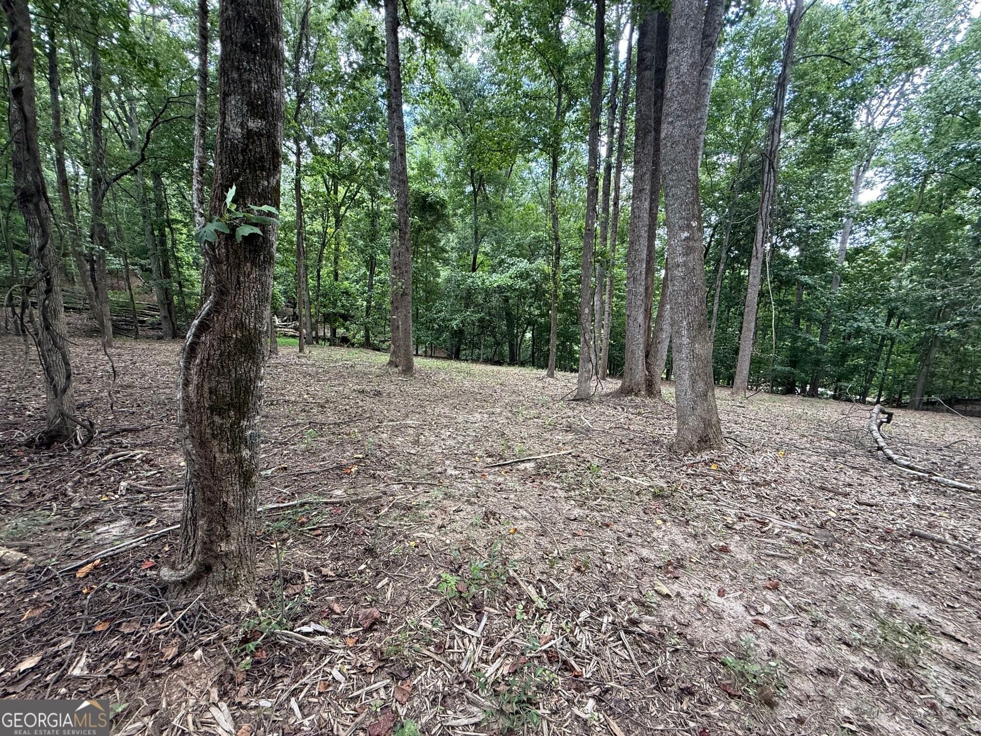 unimproved land for sale at 0 Bailey Mill Road, Gainesville, GA 30506 — photo 2
