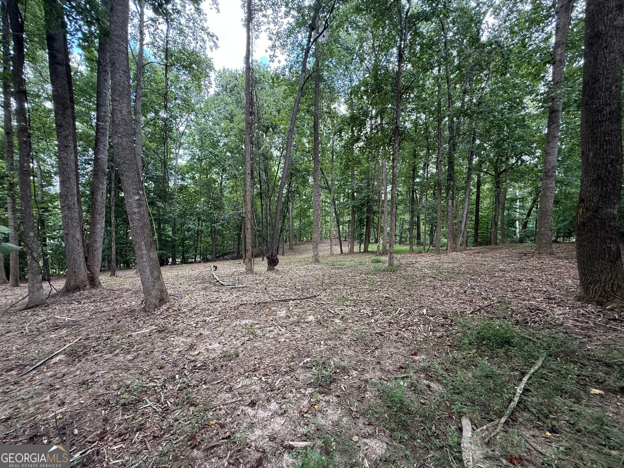 unimproved land for sale at 0 Bailey Mill Road, Gainesville, GA 30506 — photo 1 of 5