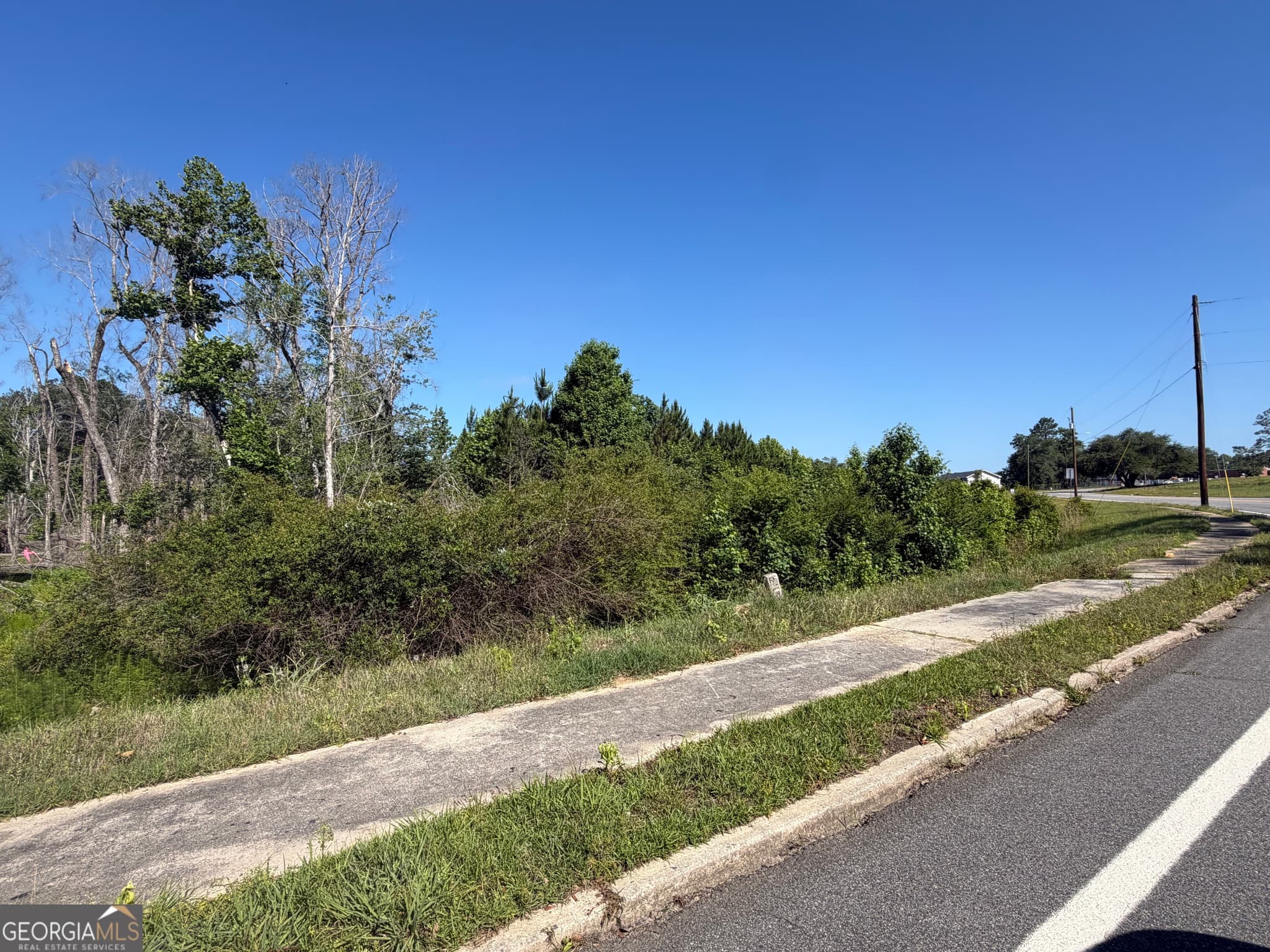 unimproved land for sale at 0 N Third North Street, Soperton, GA 30457 — photo 2