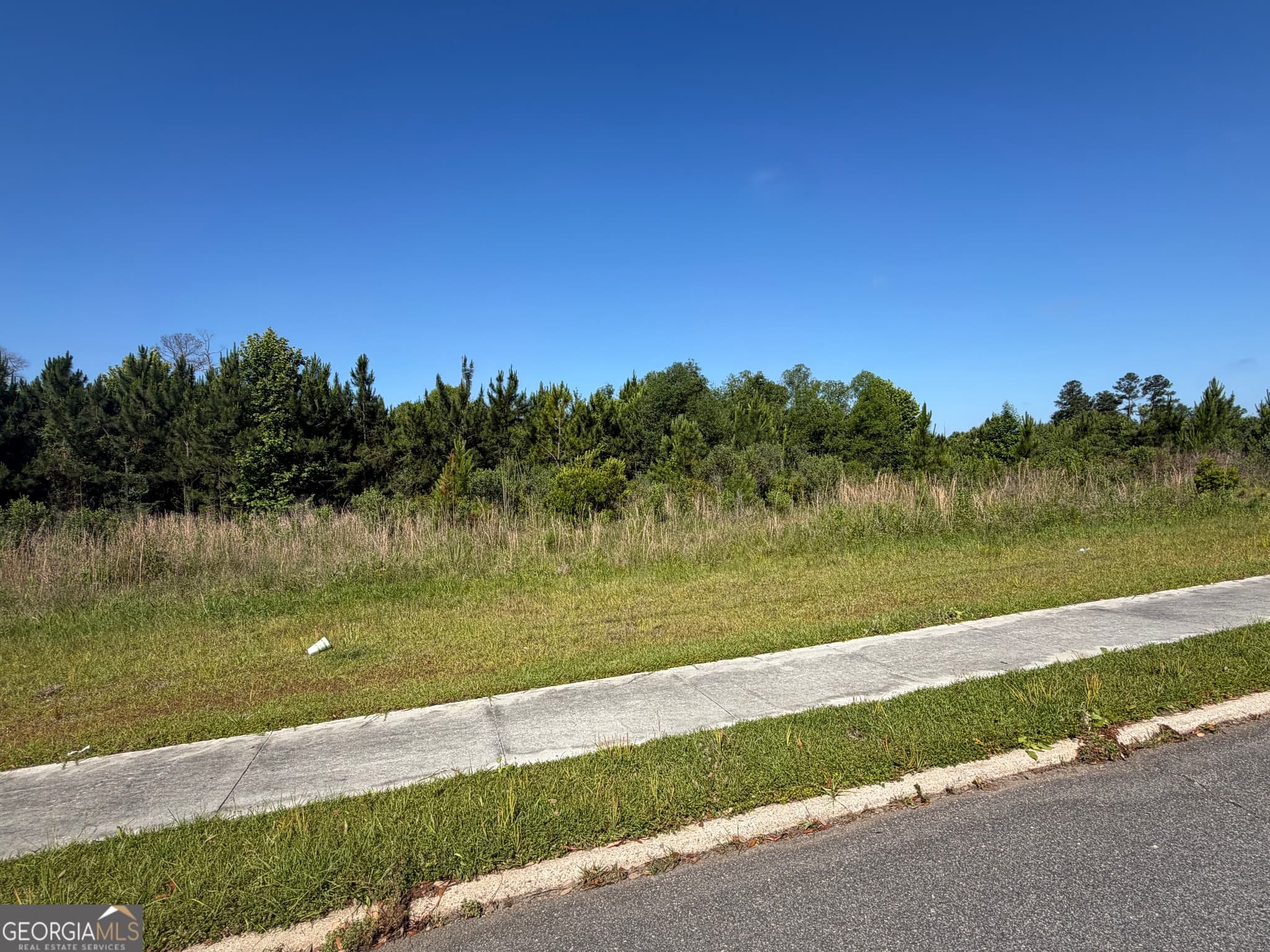 unimproved land for sale at 0 N Third North Street, Soperton, GA 30457 — photo 6