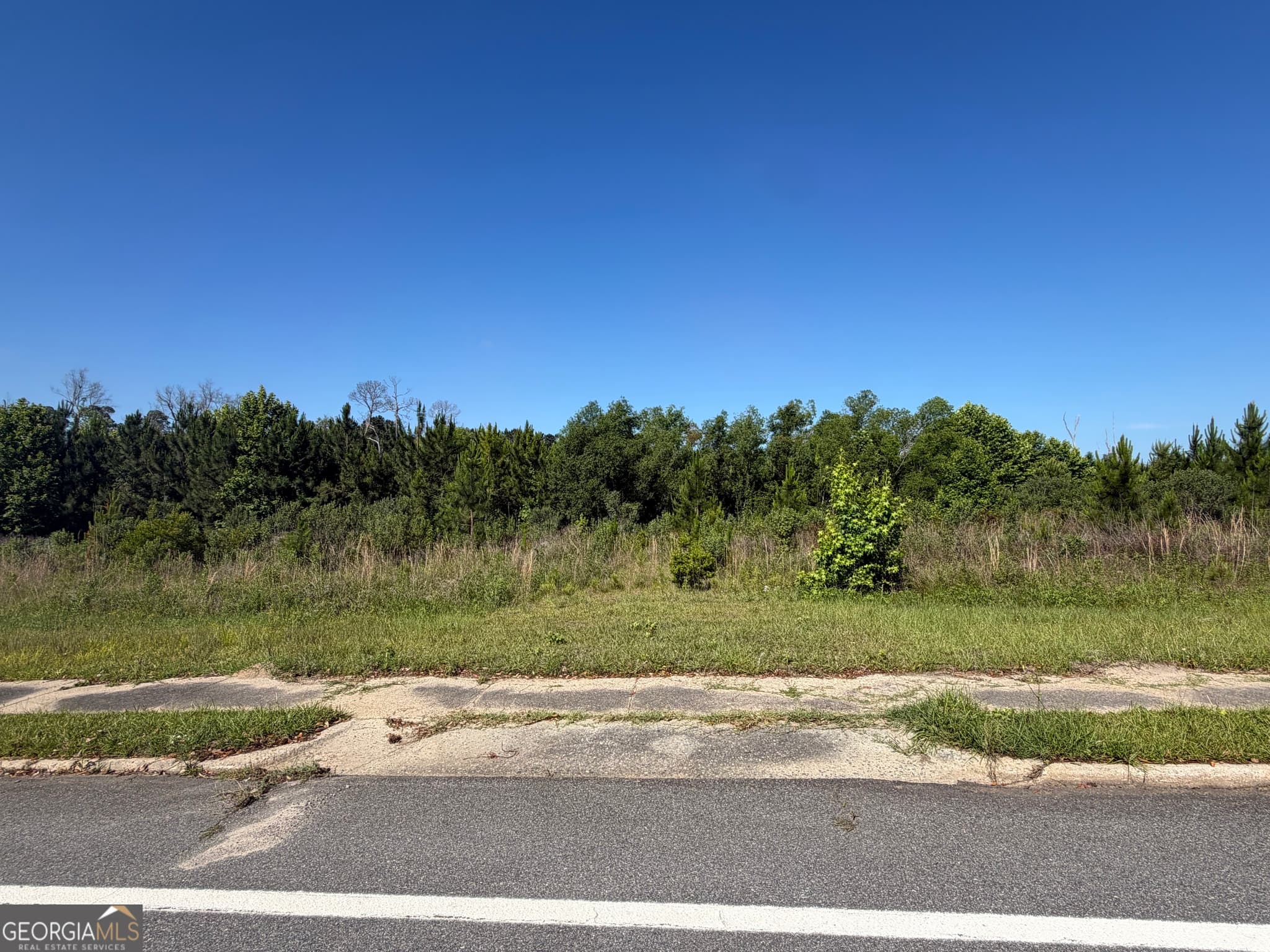 unimproved land for sale at 0 N Third North Street, Soperton, GA 30457 — photo 7