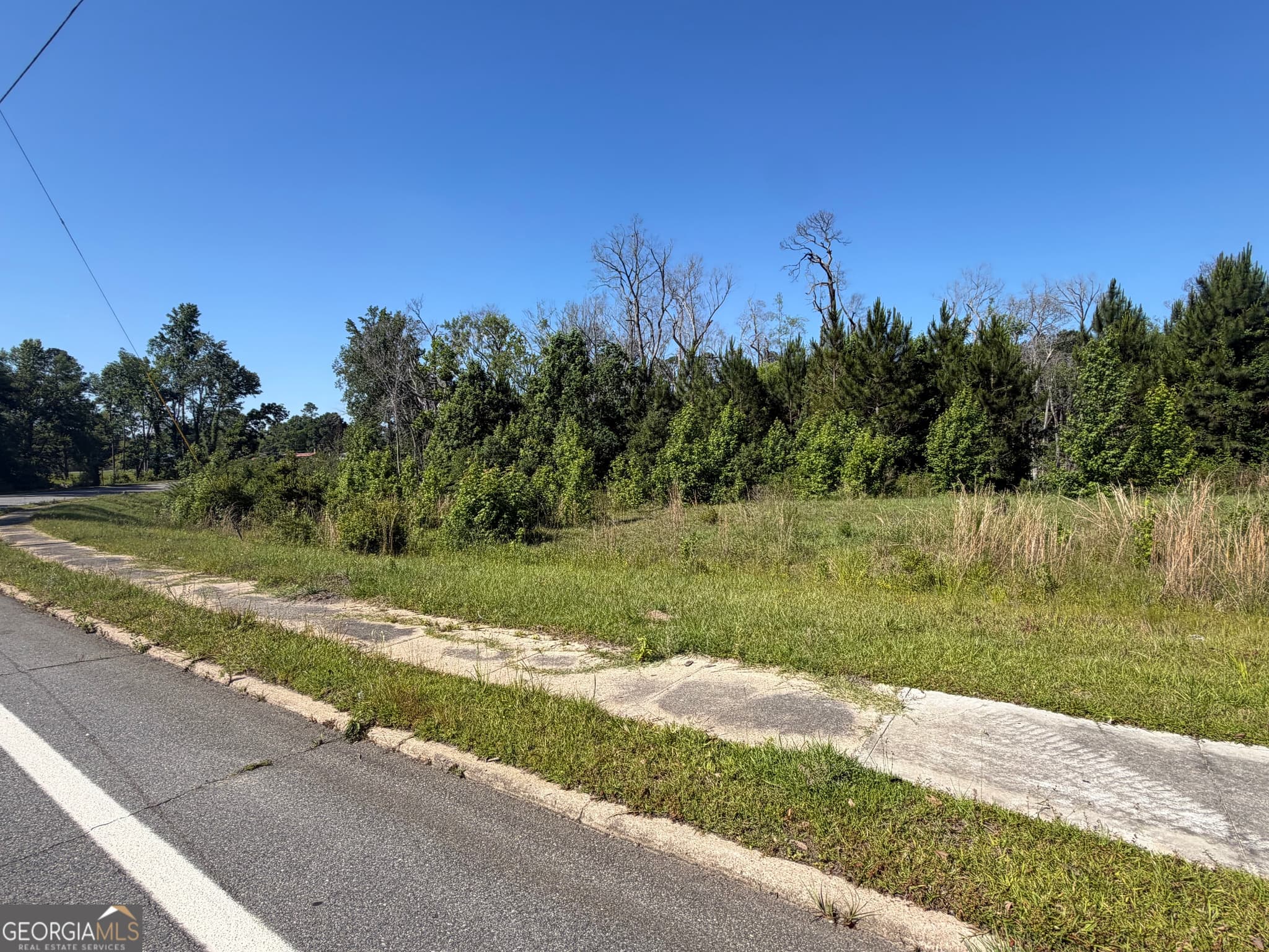 unimproved land for sale at 0 N Third North Street, Soperton, GA 30457 — photo 3