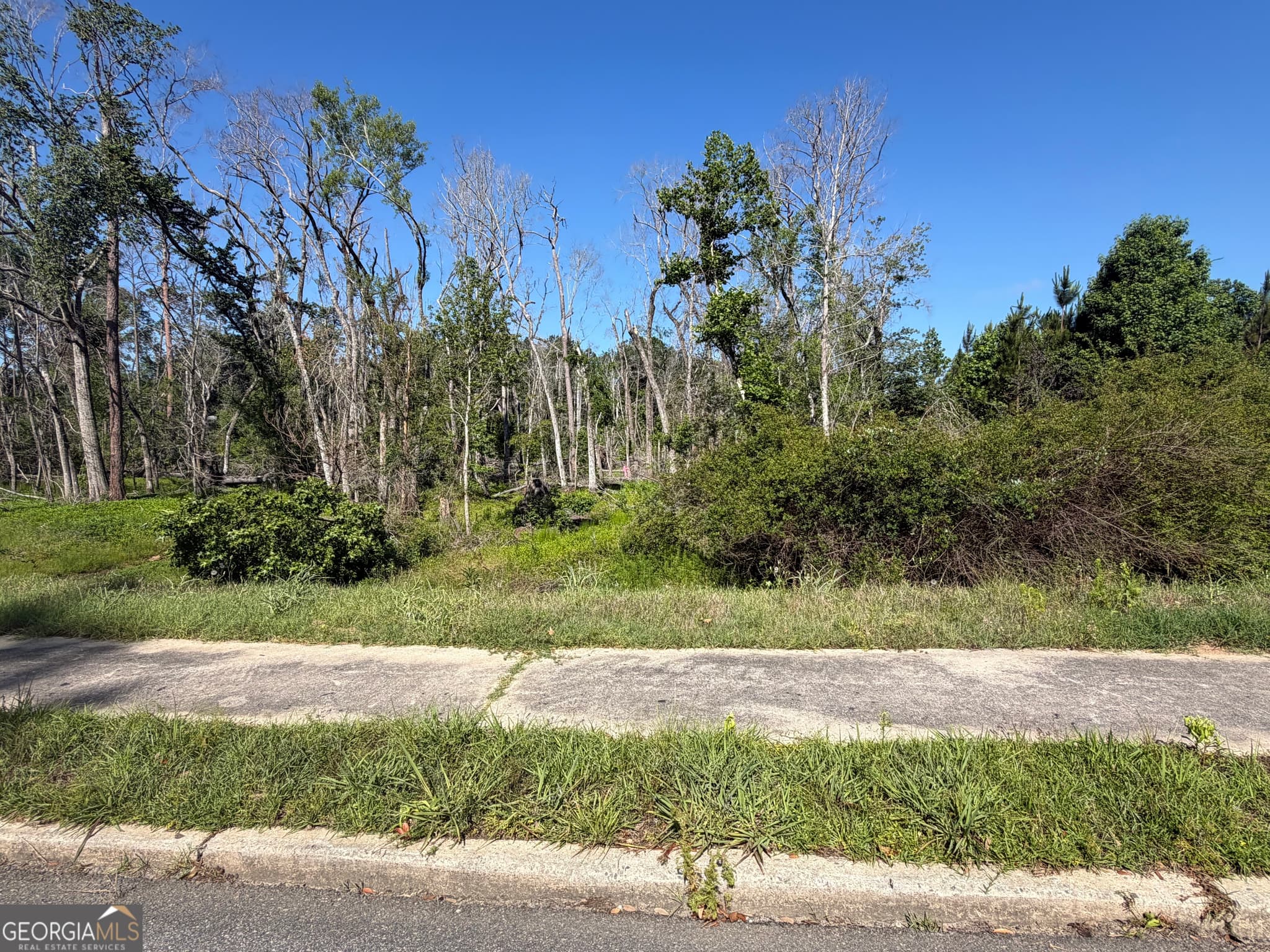 unimproved land for sale at 0 N Third North Street, Soperton, GA 30457