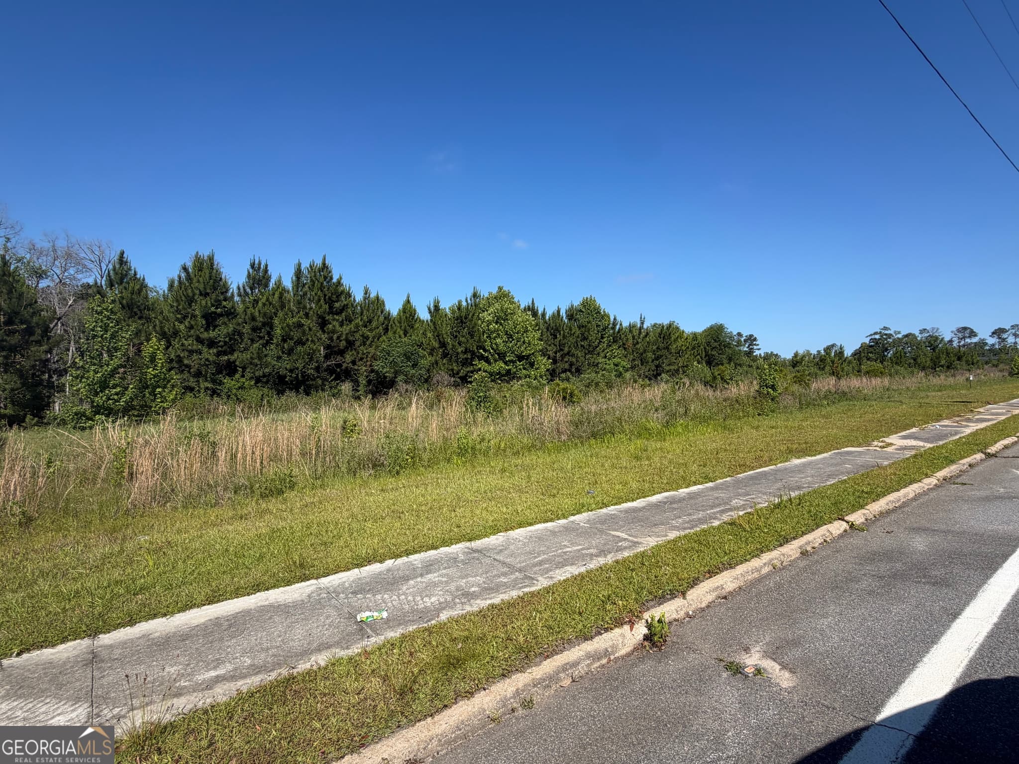 unimproved land for sale at 0 N Third North Street, Soperton, GA 30457 — photo 5