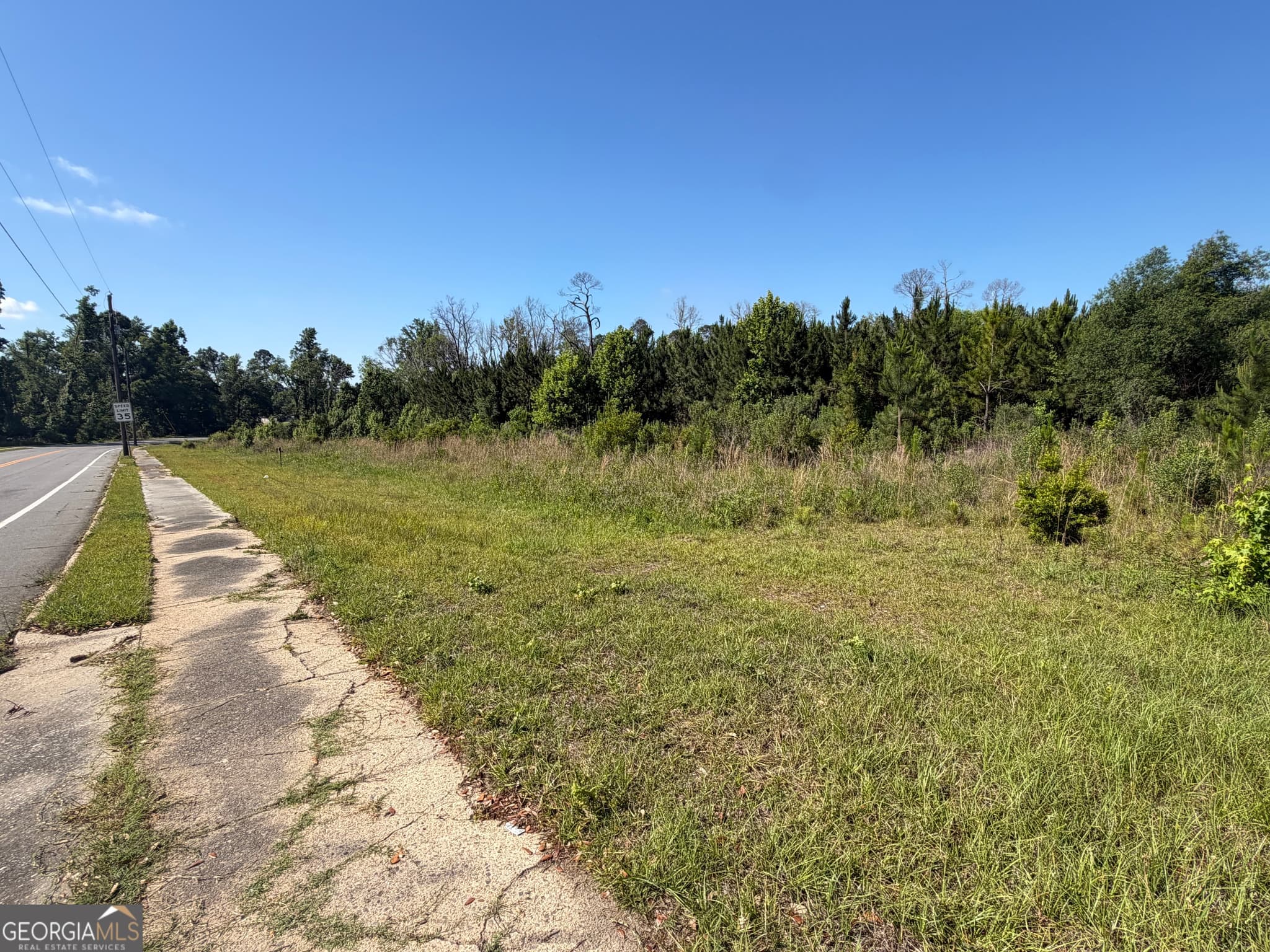 unimproved land for sale at 0 N Third North Street, Soperton, GA 30457 — photo 9