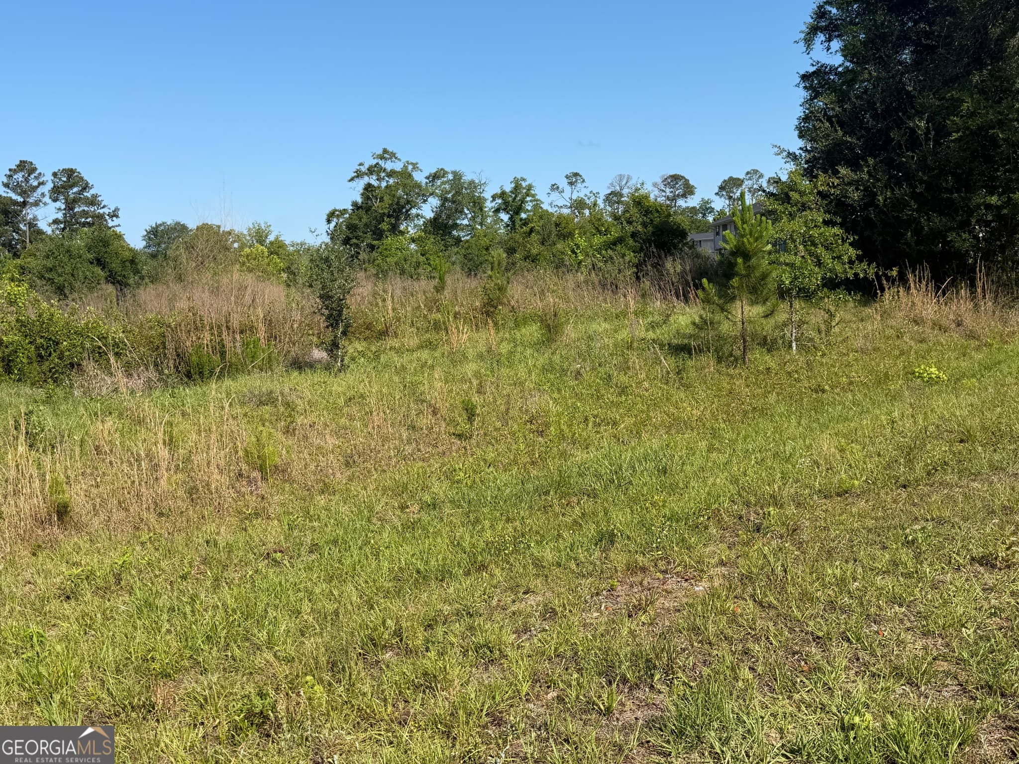 unimproved land for sale at 0 N Third North Street, Soperton, GA 30457 — photo 10
