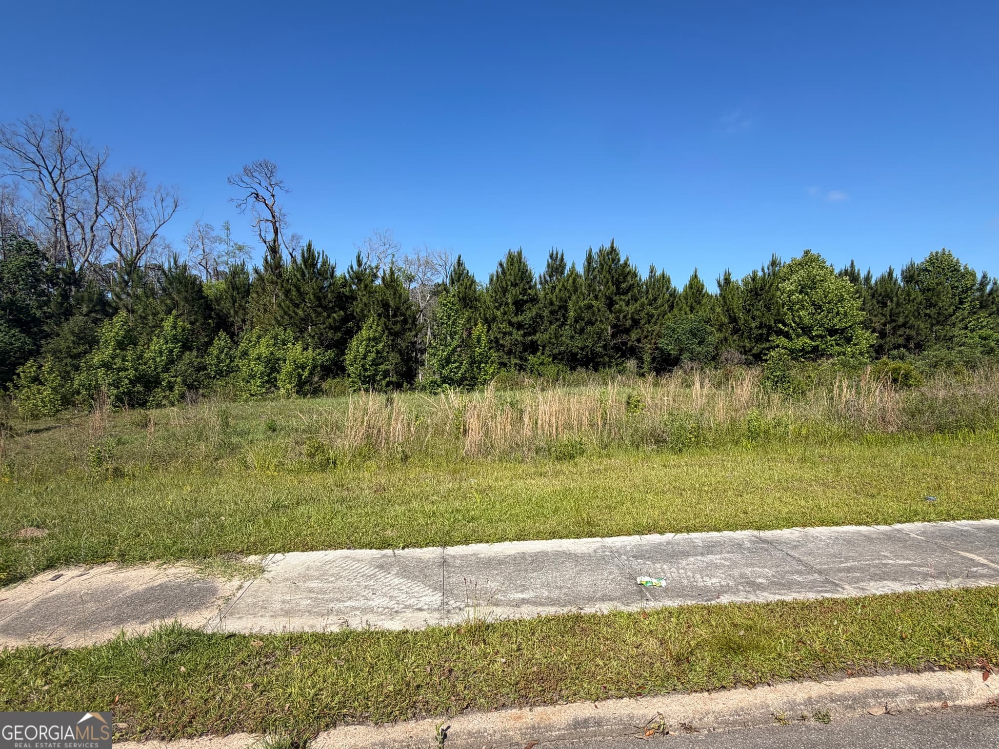 unimproved land for sale at 0 N Third North Street, Soperton, GA 30457 — photo 4