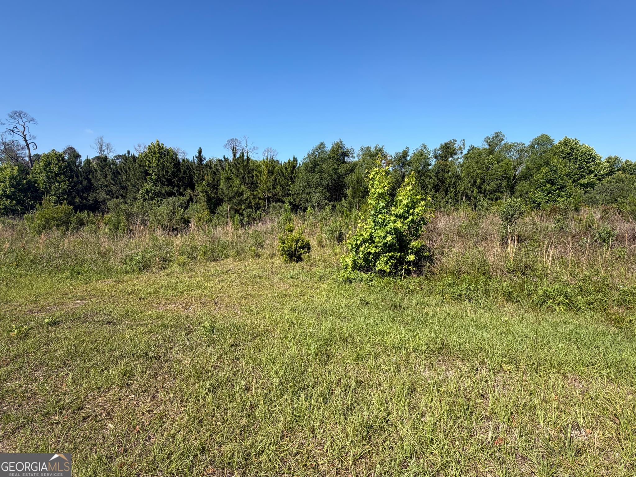 unimproved land for sale at 0 N Third North Street, Soperton, GA 30457 — photo 8