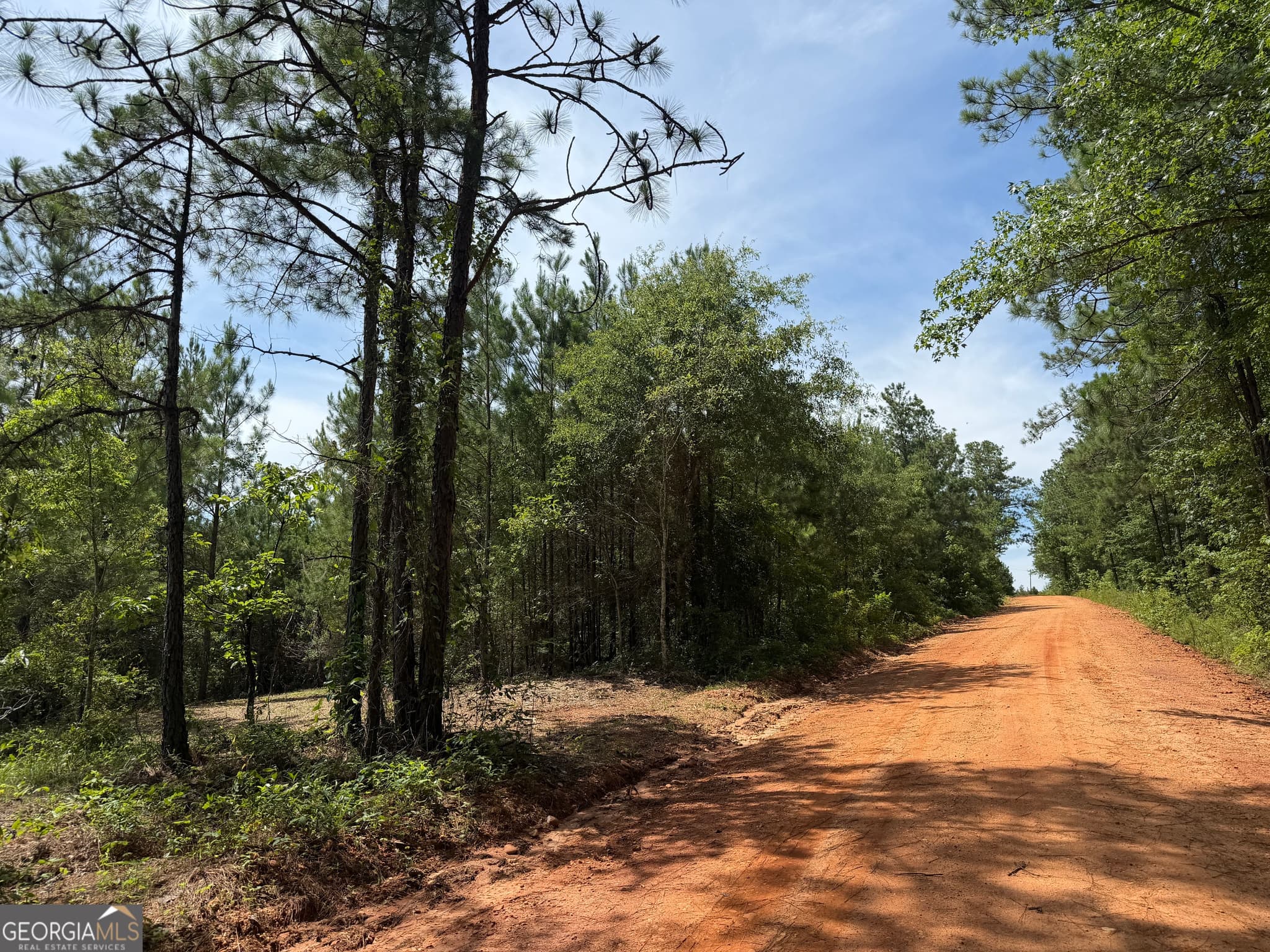 agriculture for sale at 005B Cleghorn Drive, Tallassee, AL 36078 — photo 2