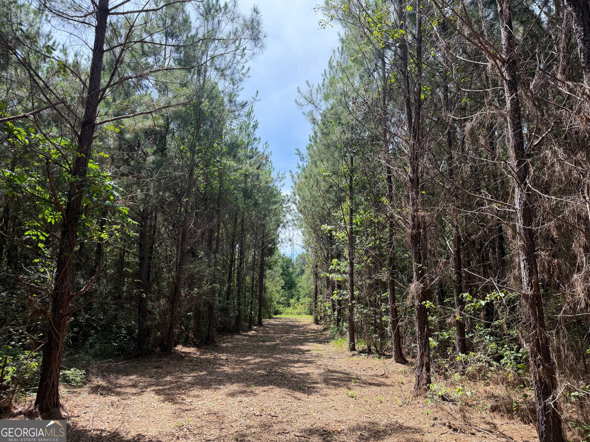 agriculture for sale at 005B Cleghorn Drive, Tallassee, AL 36078 — photo 6