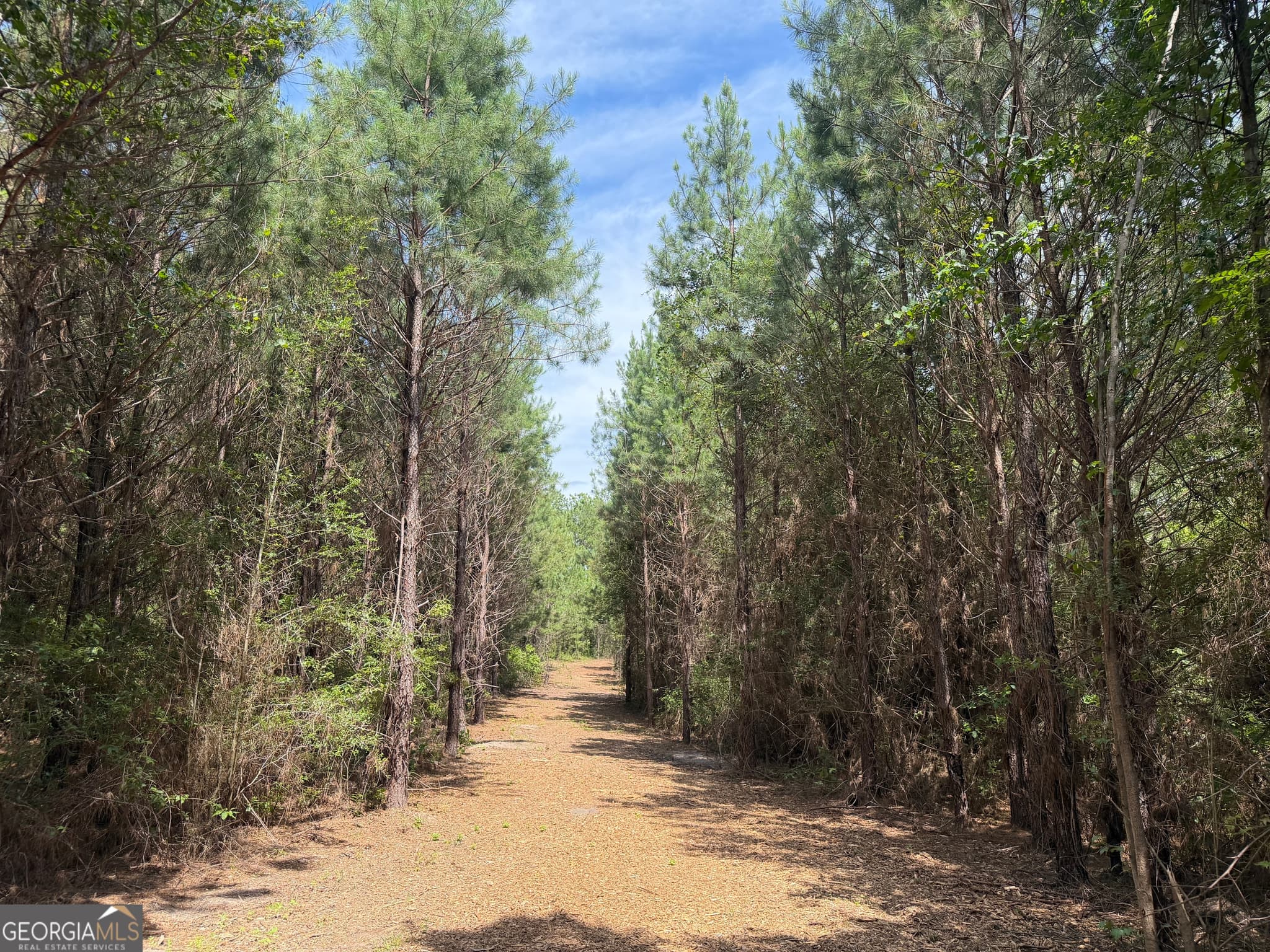 agriculture for sale at 005B Cleghorn Drive, Tallassee, AL 36078 — photo 7