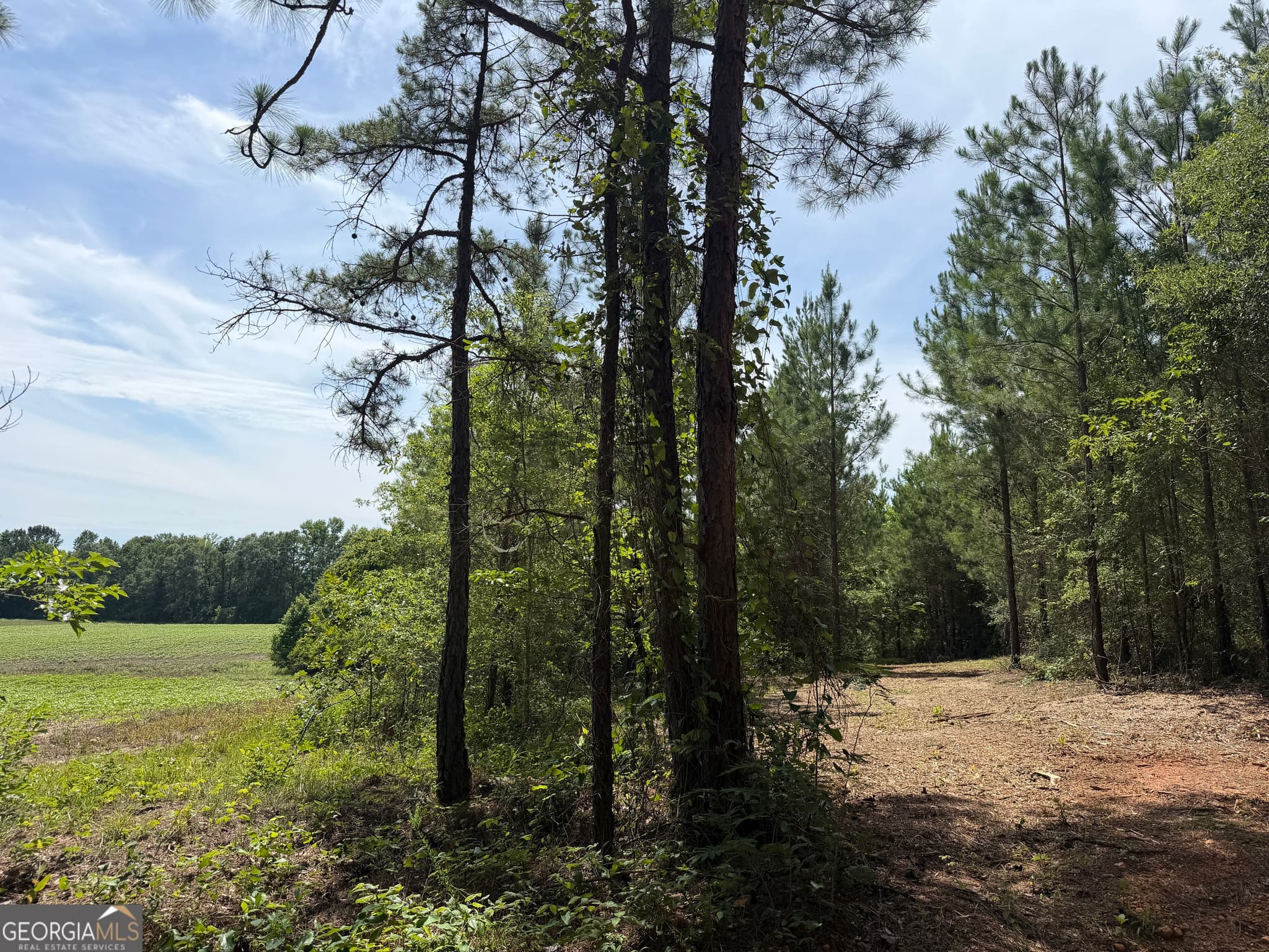agriculture for sale at 005B Cleghorn Drive, Tallassee, AL 36078 — photo 3
