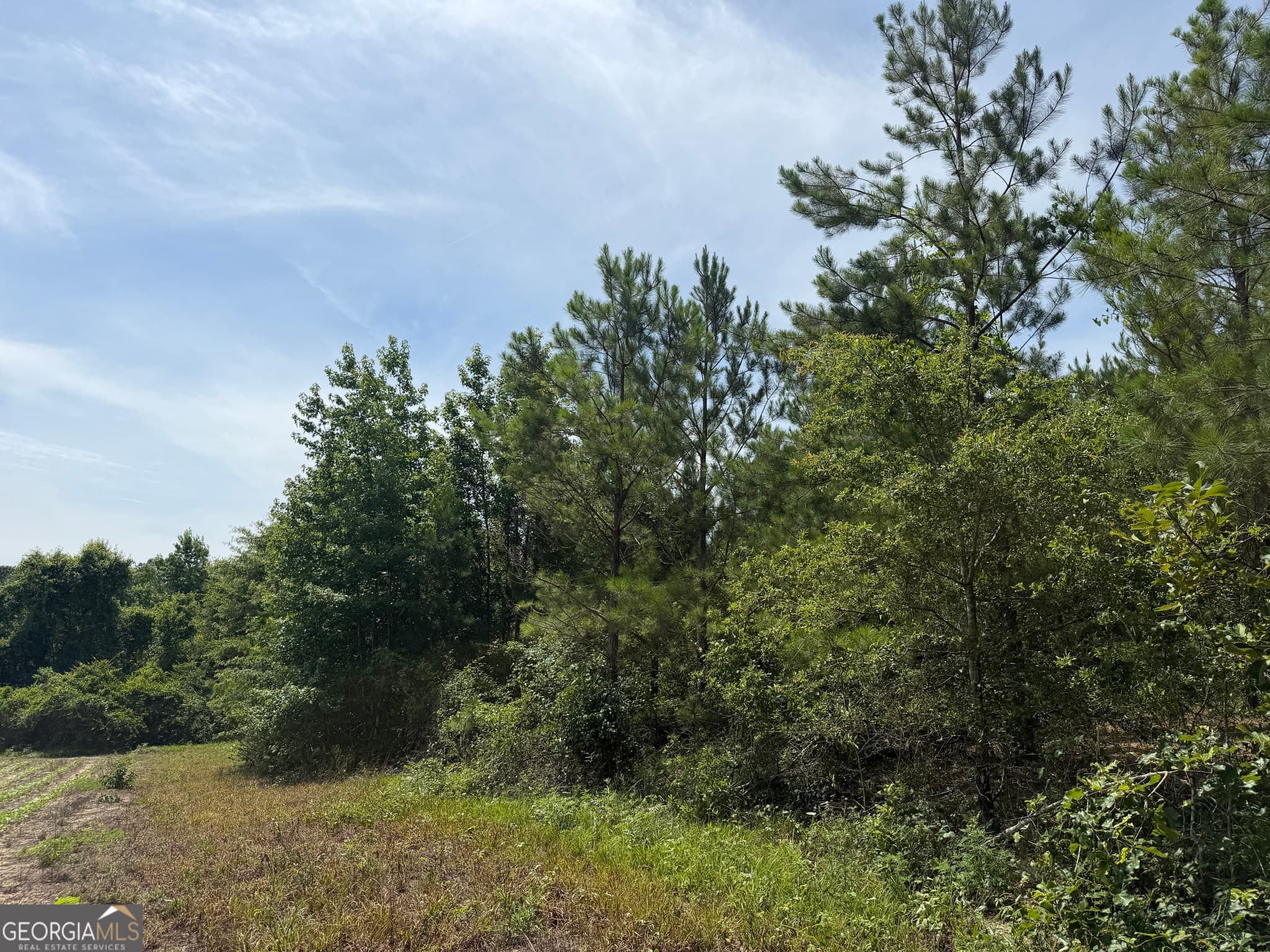 agriculture for sale at 005B Cleghorn Drive, Tallassee, AL 36078 — photo 5