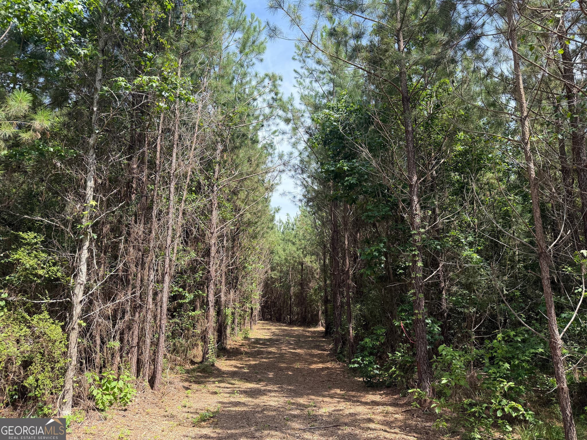 agriculture for sale at 005B Cleghorn Drive, Tallassee, AL 36078 — photo 9