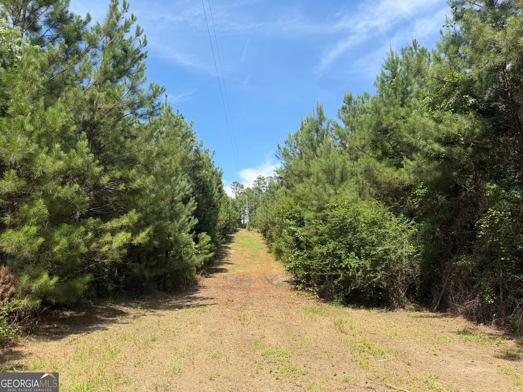 agriculture for sale at 005B Cleghorn Drive, Tallassee, AL 36078 — photo 10