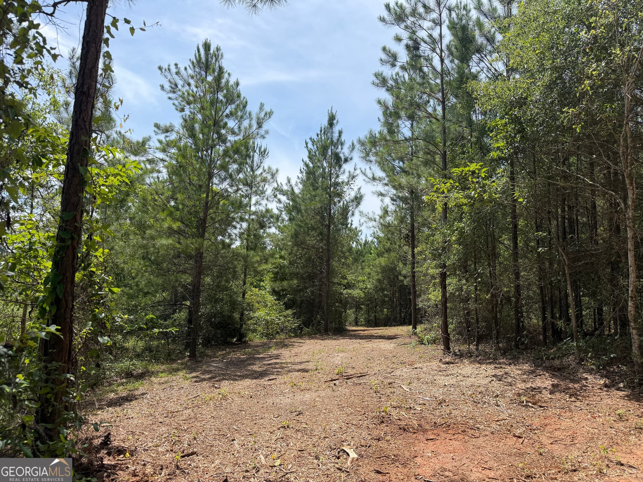 agriculture for sale at 005B Cleghorn Drive, Tallassee, AL 36078 — photo 4