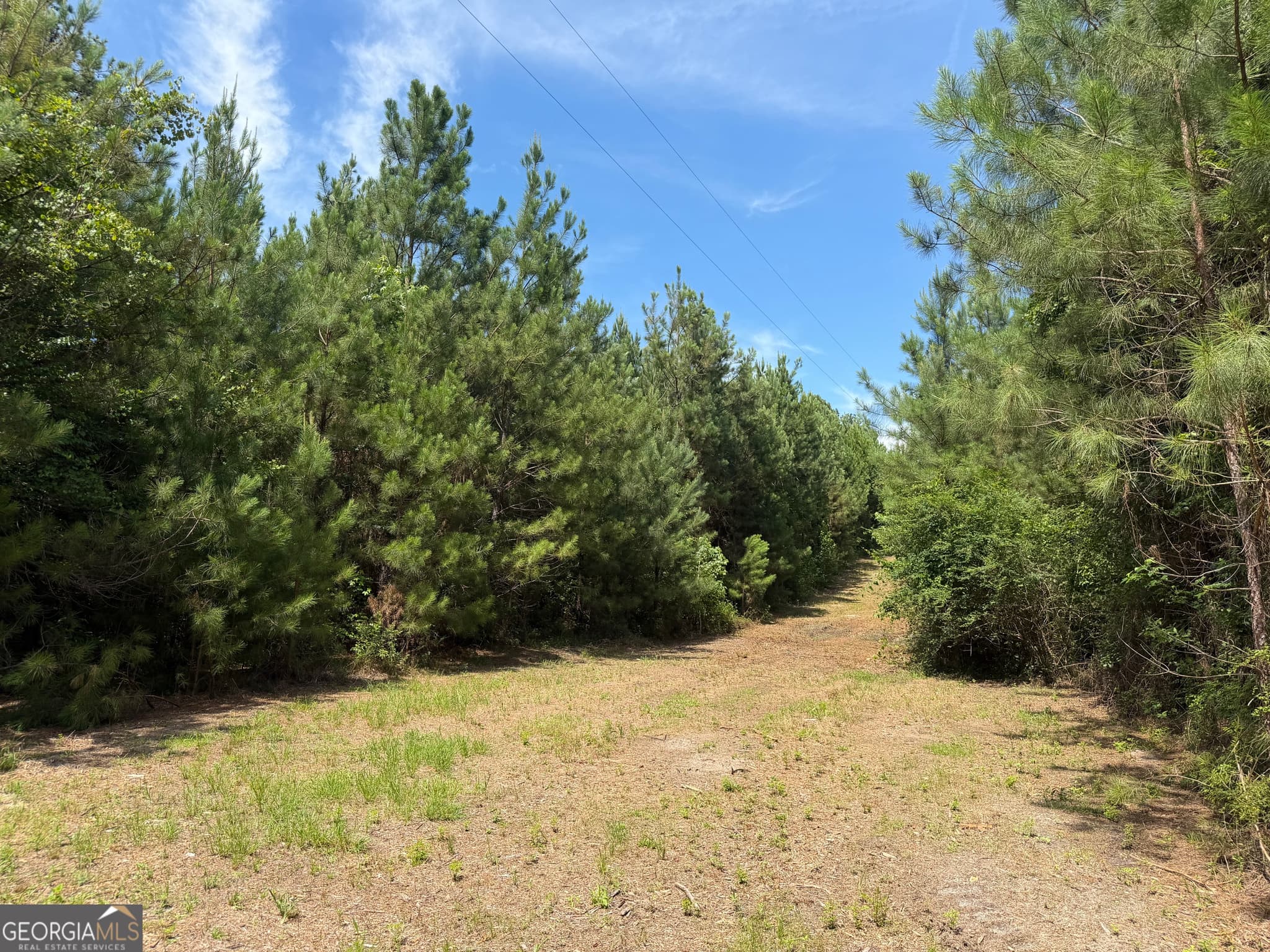 agriculture for sale at 005B Cleghorn Drive, Tallassee, AL 36078 — photo 8