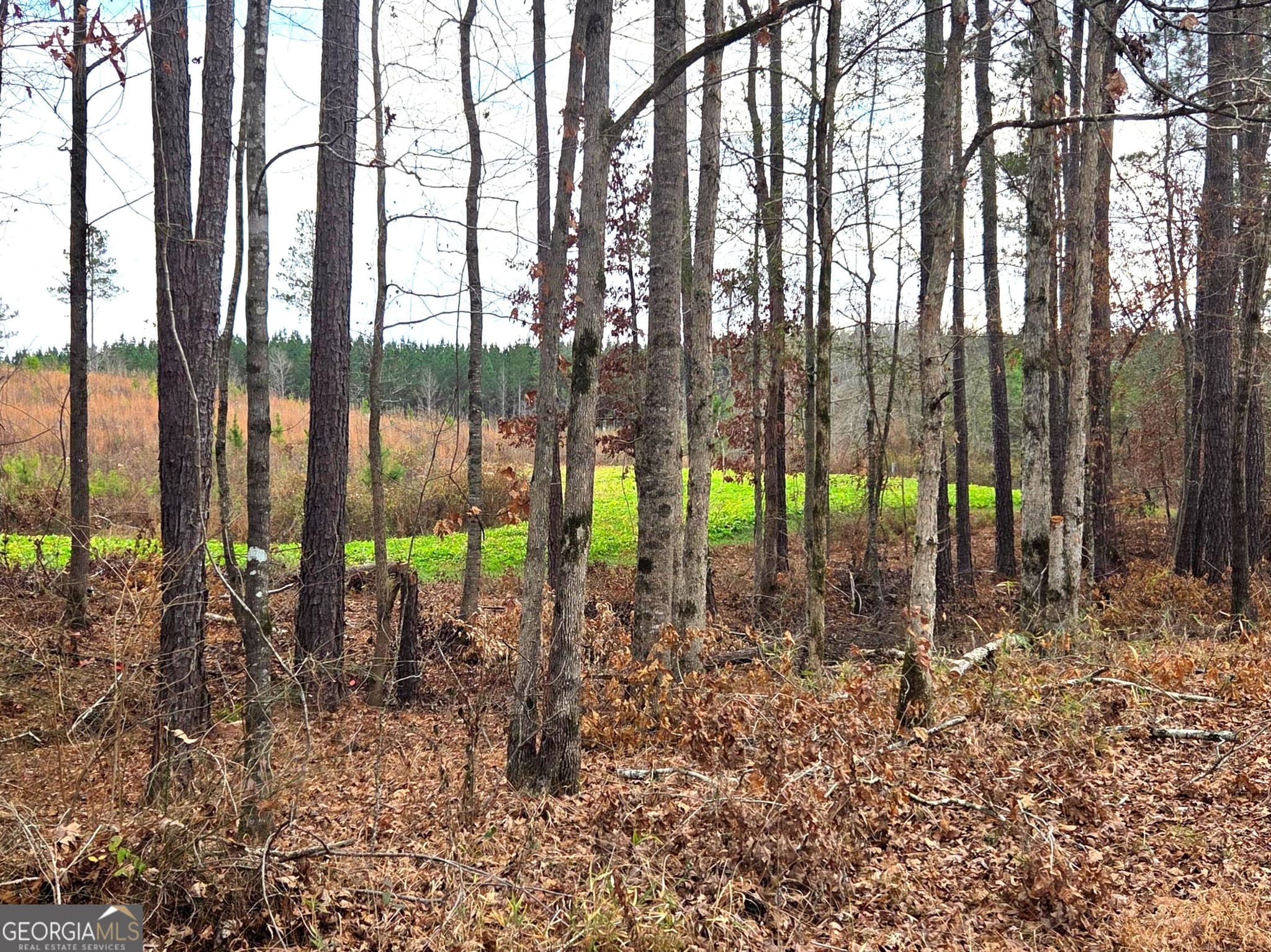 agriculture sold at 240 80 Highway, Culloden, GA 31016