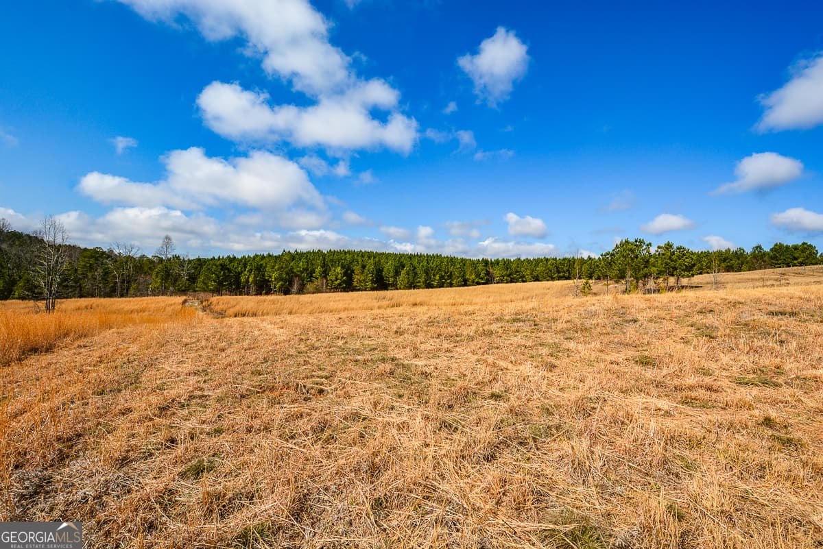 estate lot for sale at 119 Inland Drive 4 ACRES, Talking Rock, GA 30175 — photo 6