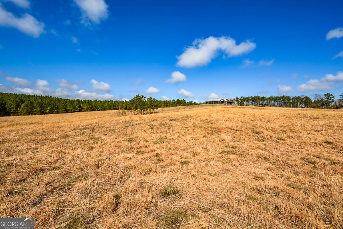estate lot for sale at 119 Inland Drive 4 ACRES, Talking Rock, GA 30175 — photo 7