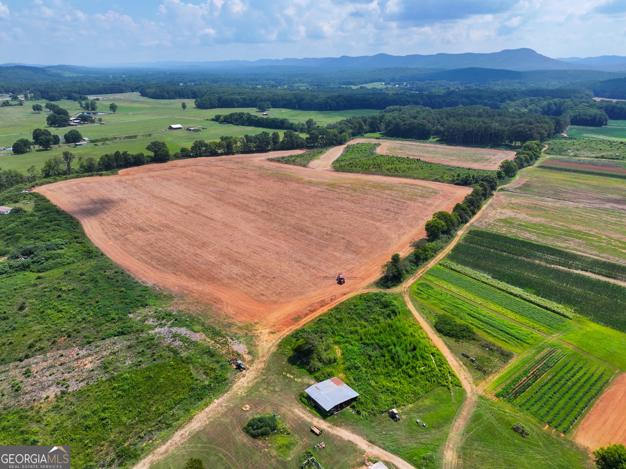 agriculture for sale at 44 +/- Acres on GA Hwy 114, Lyerly, GA 30730 — photo 3